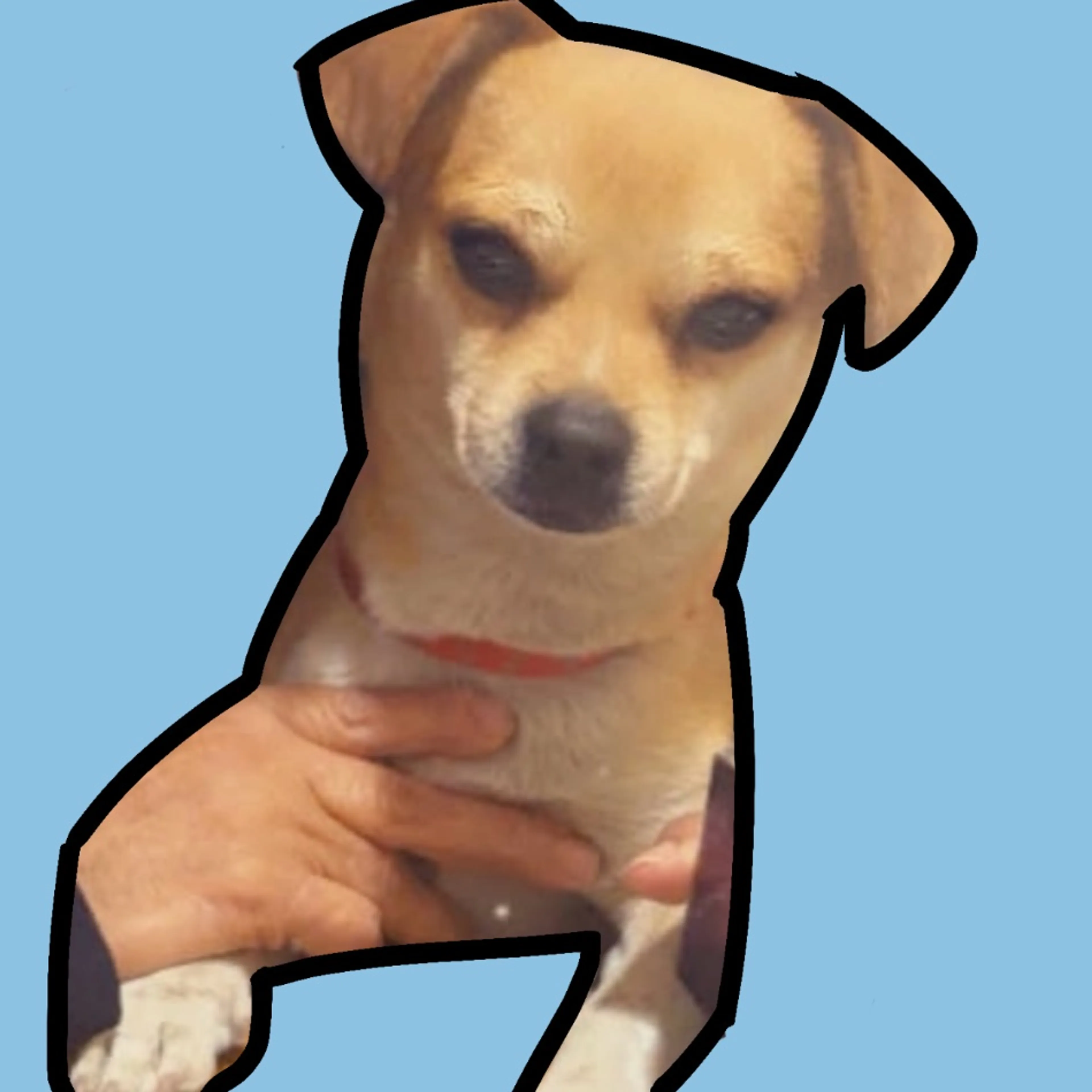cdn image