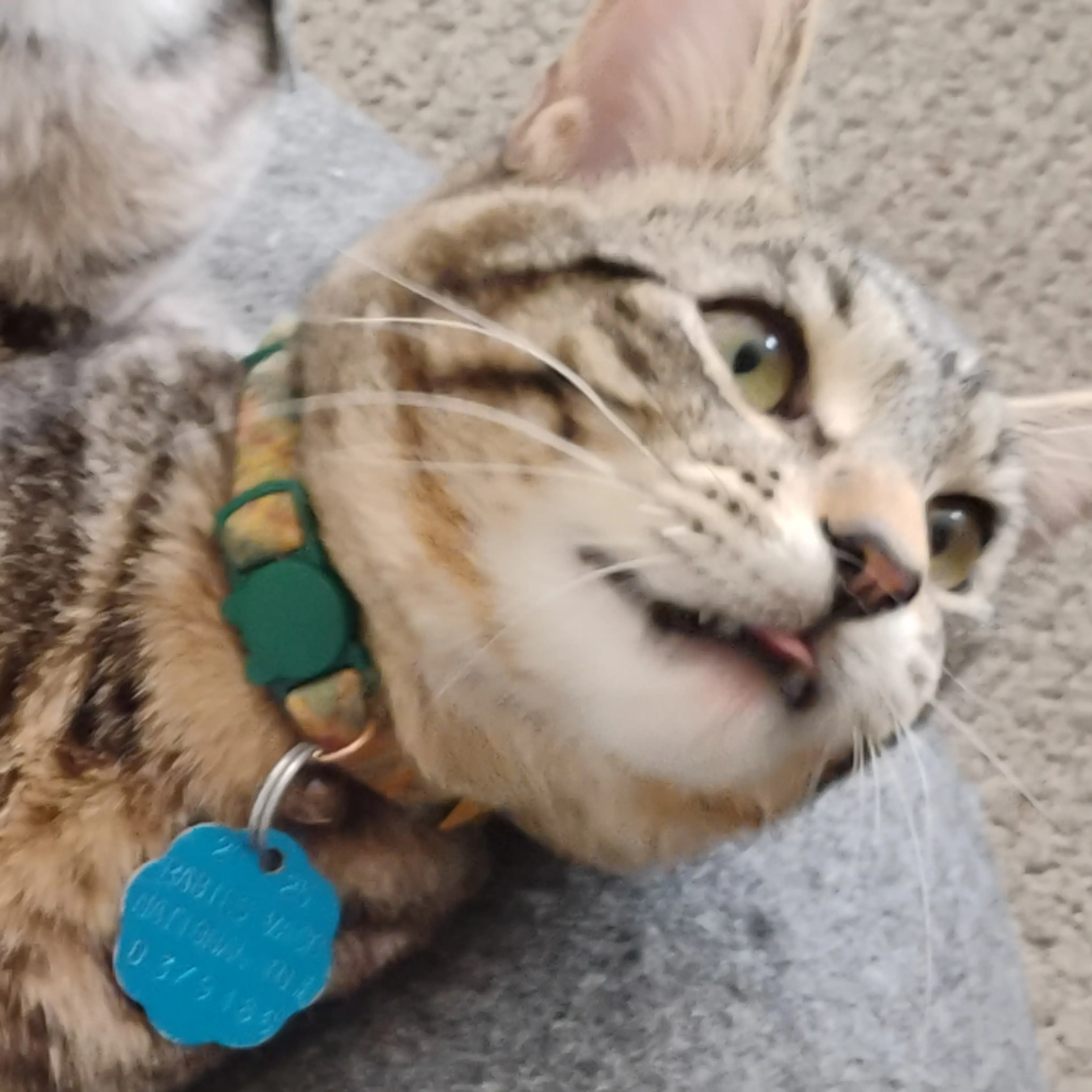 -0