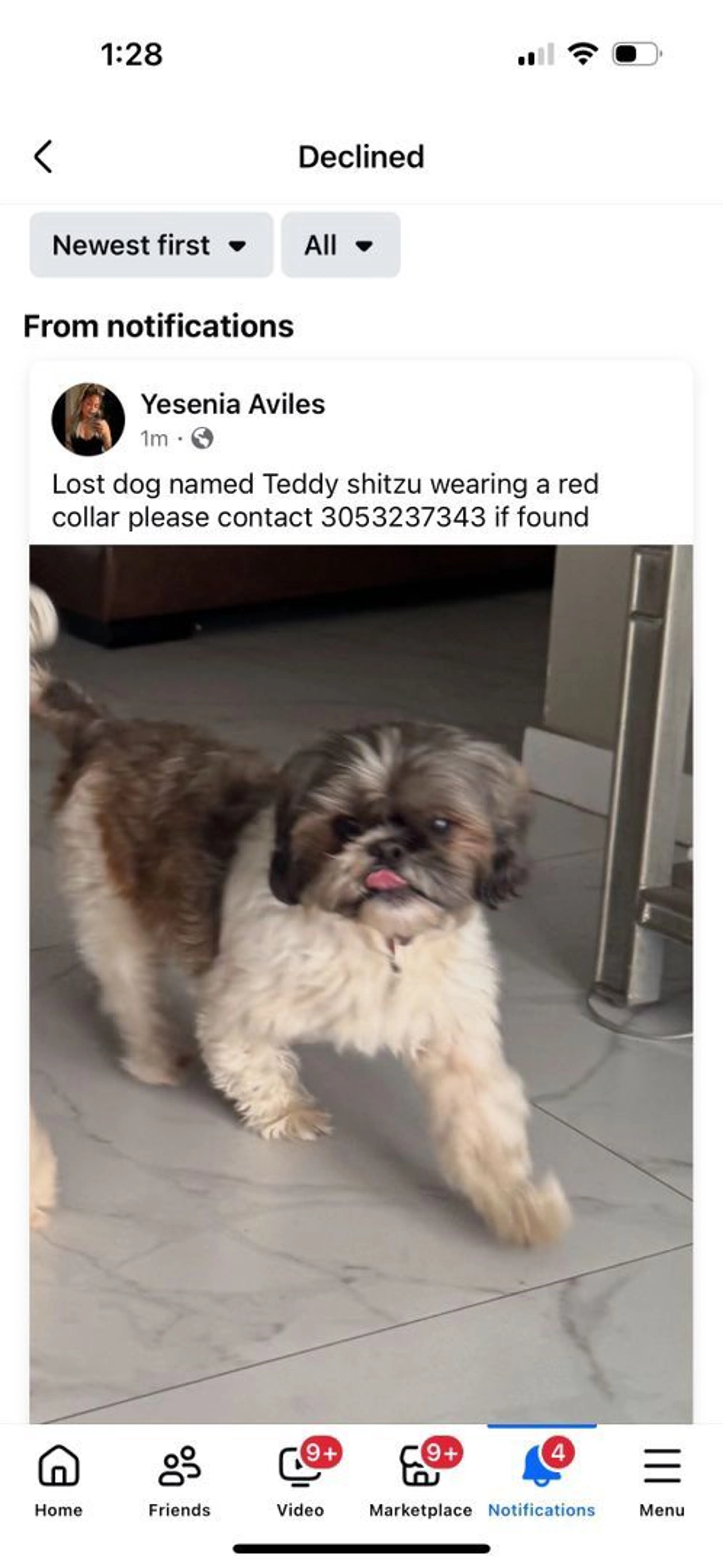 Lost pet