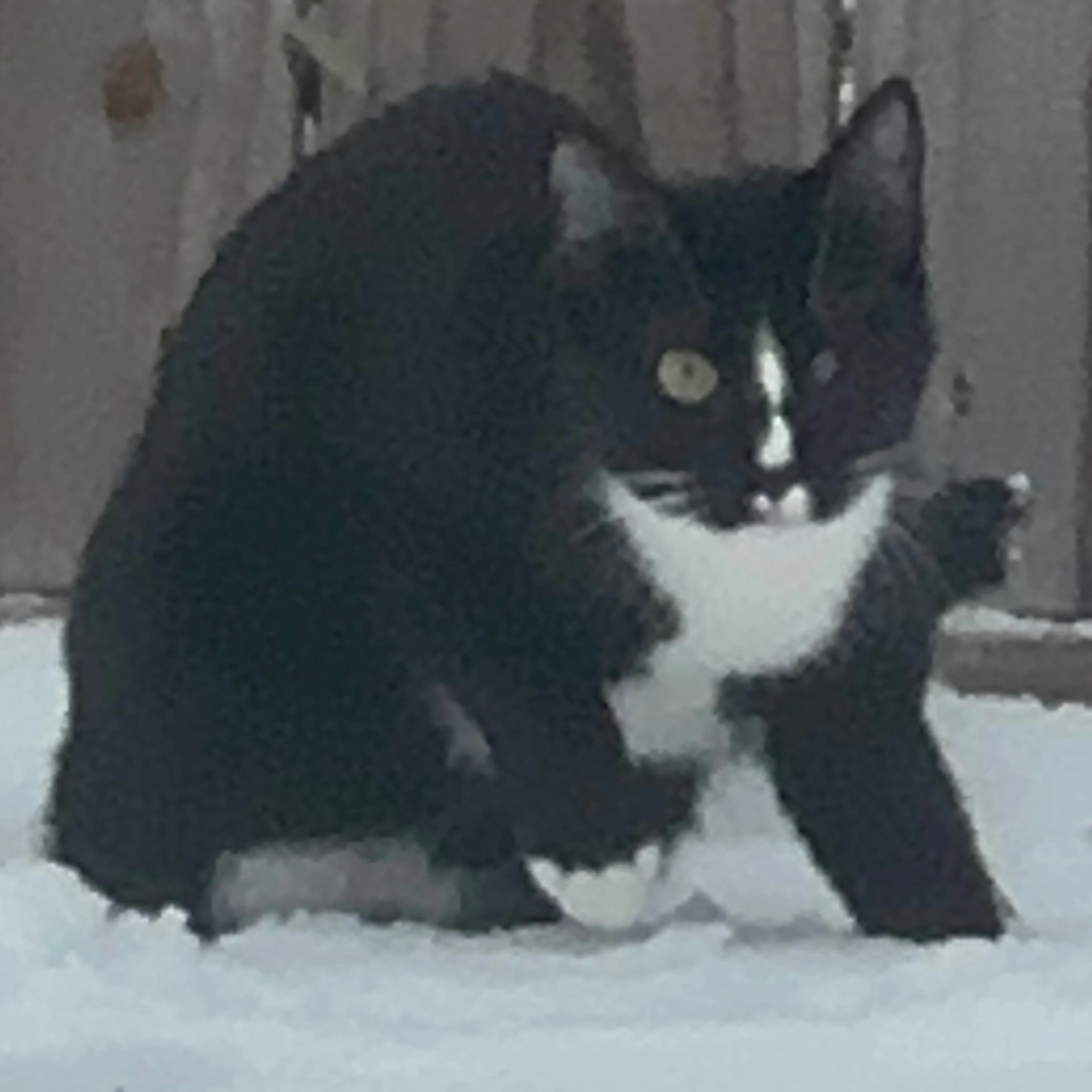 -1