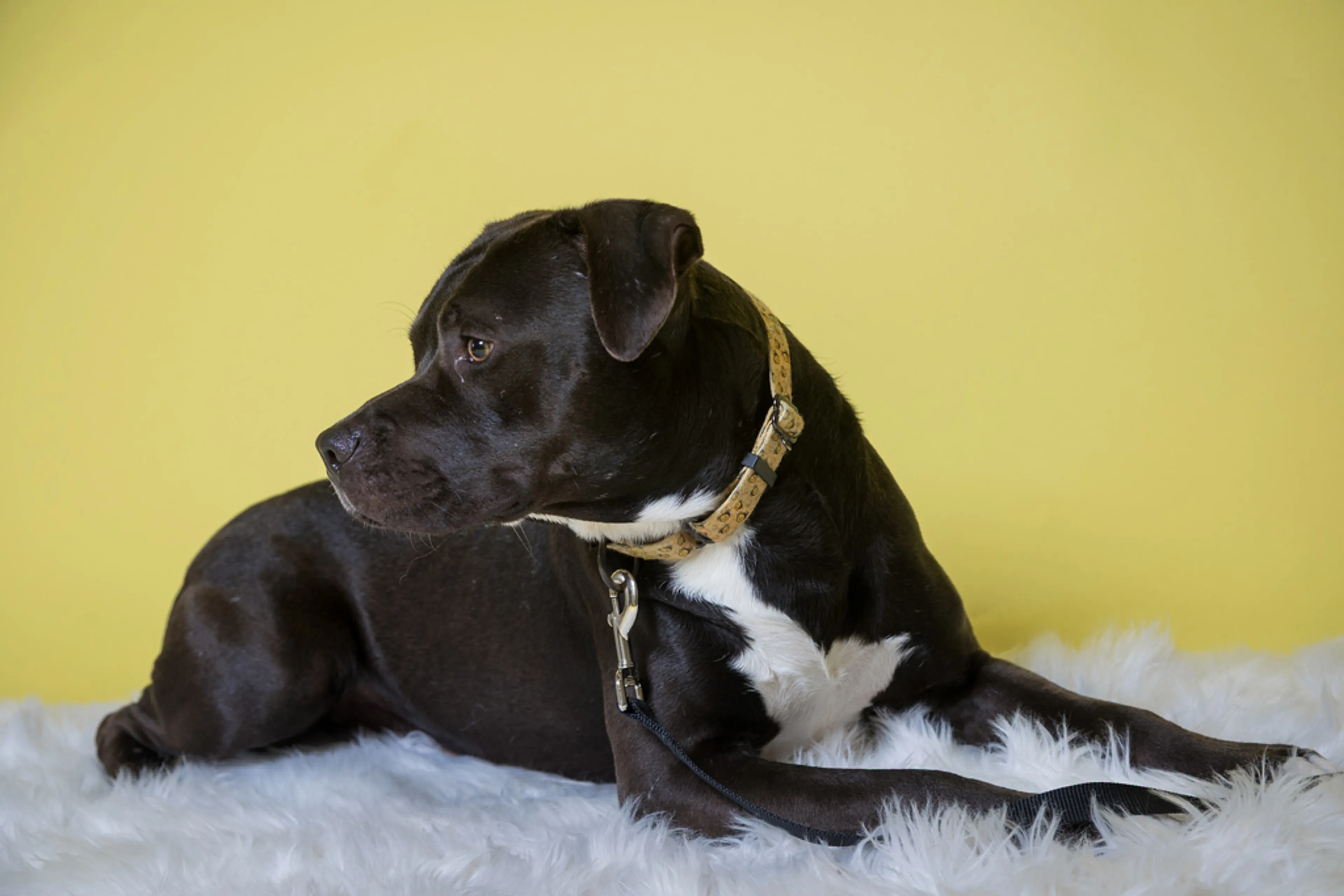 -13
