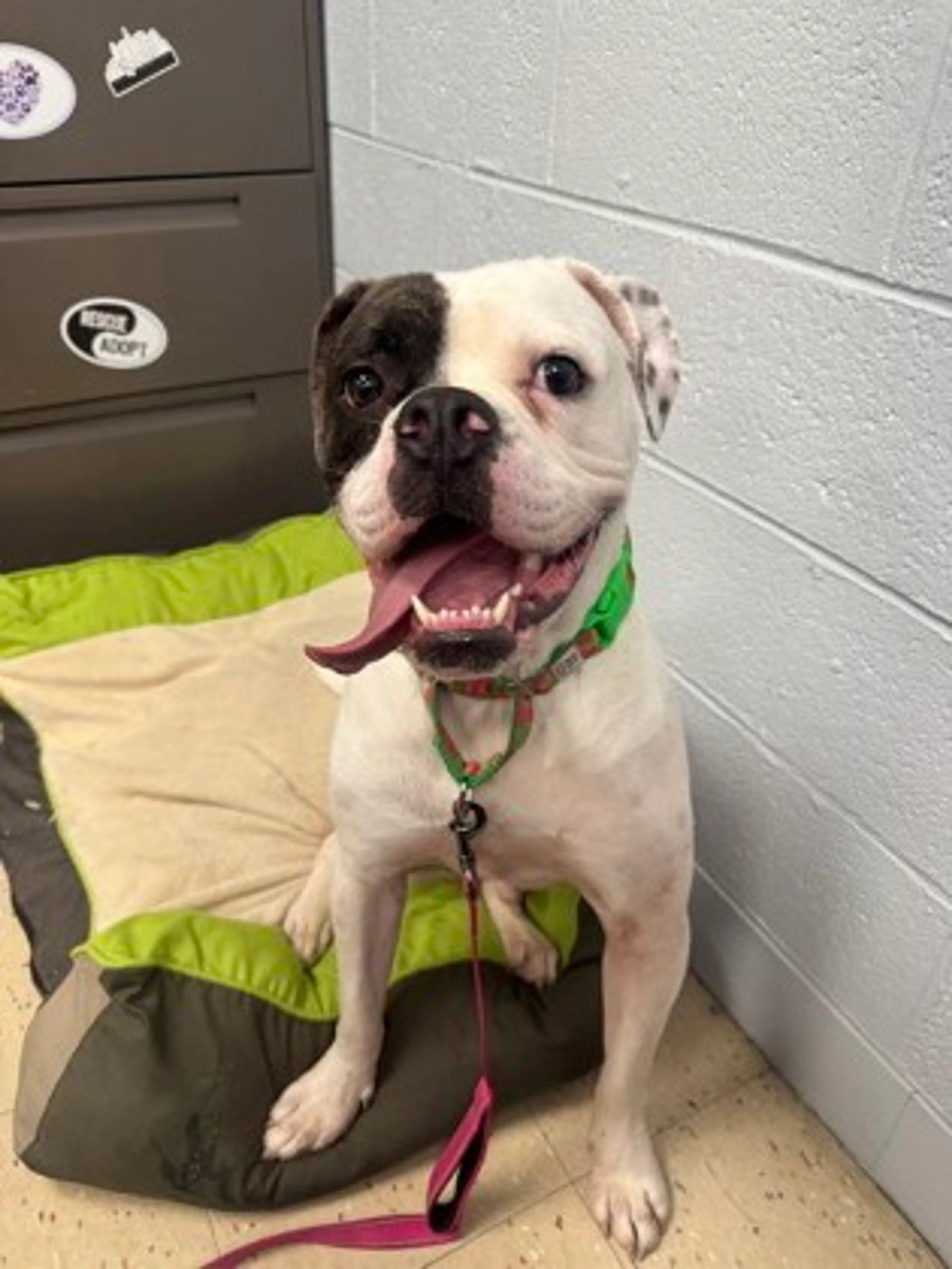 -0