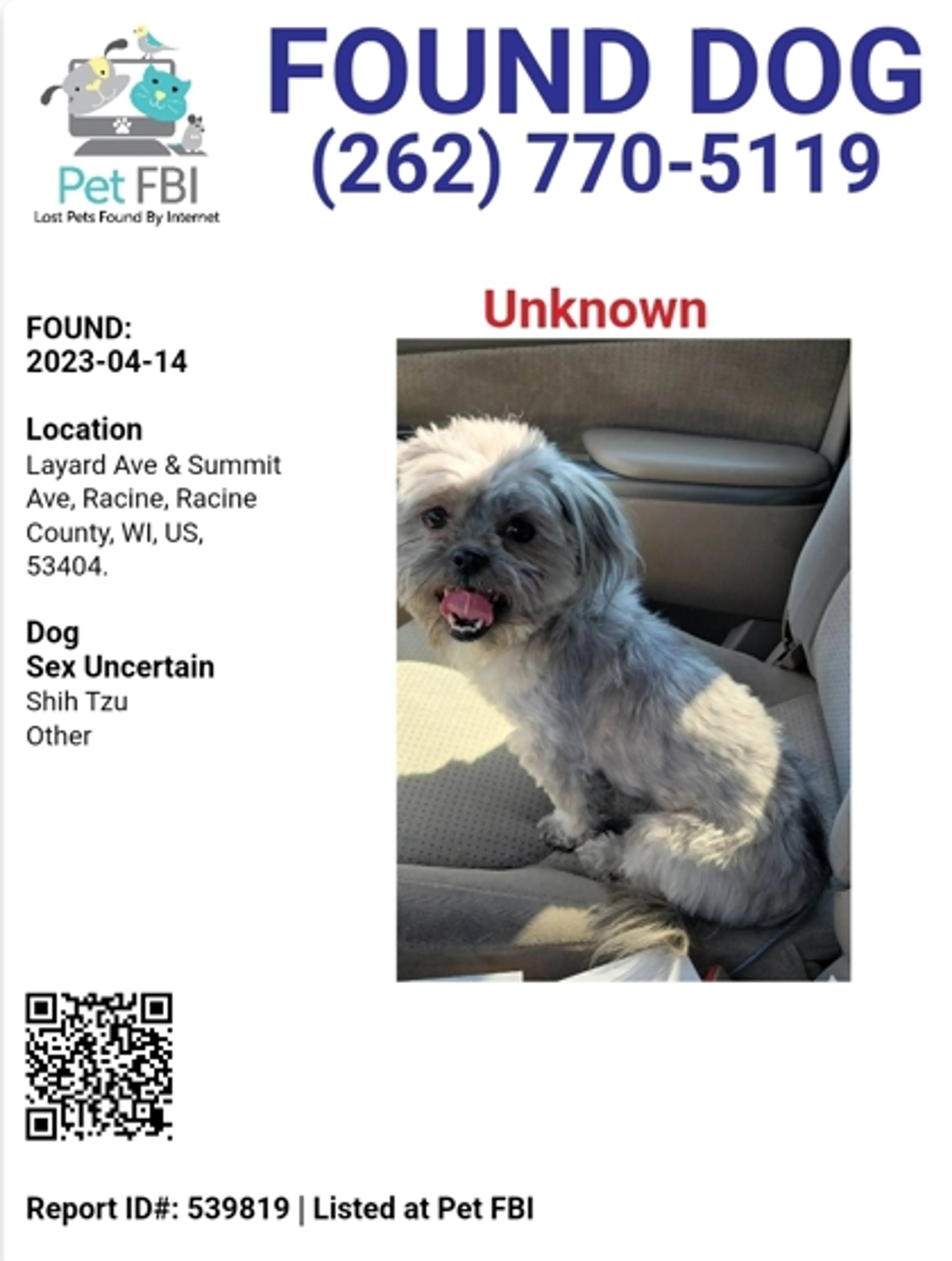 Found pet-2