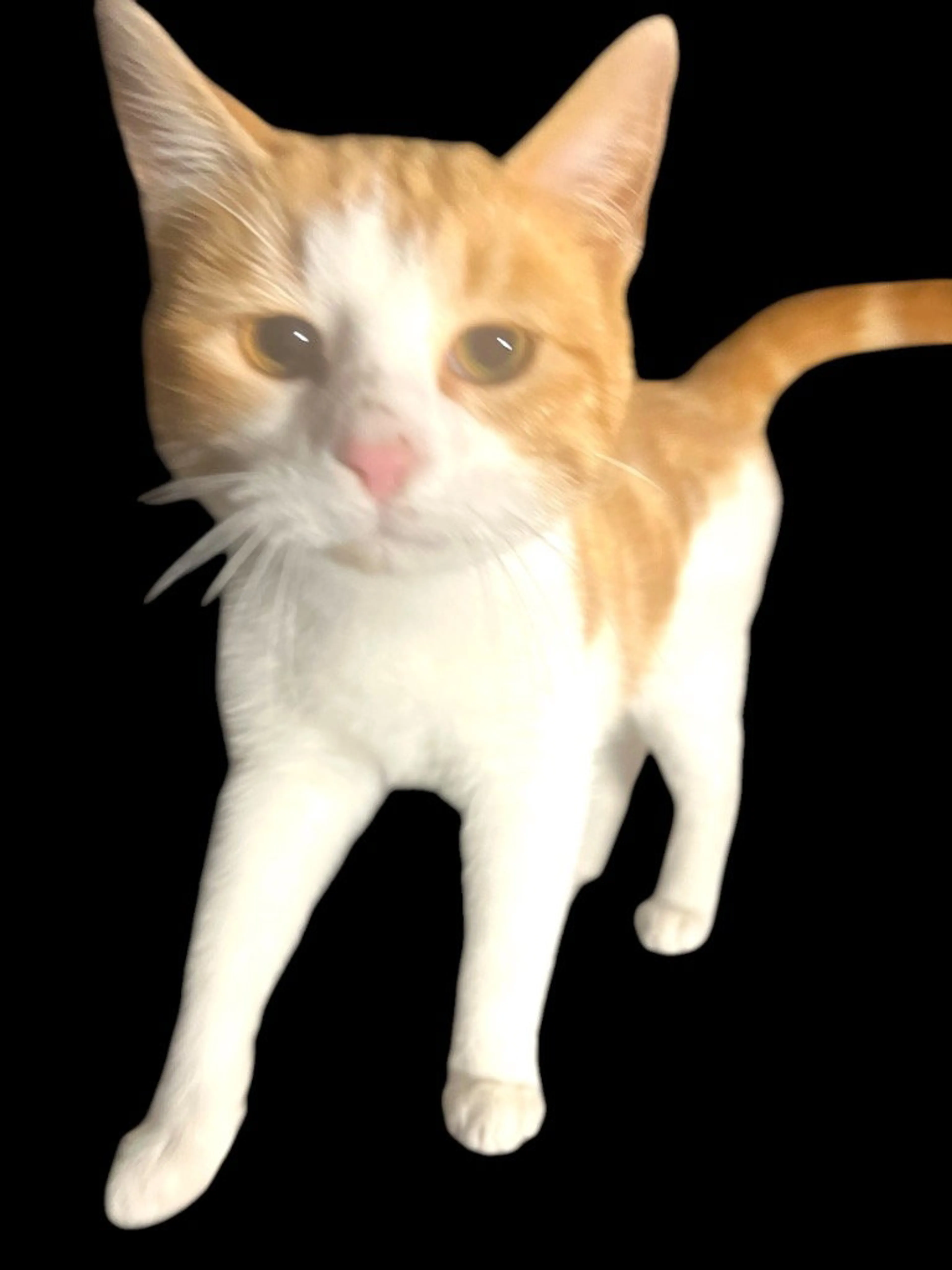 -1