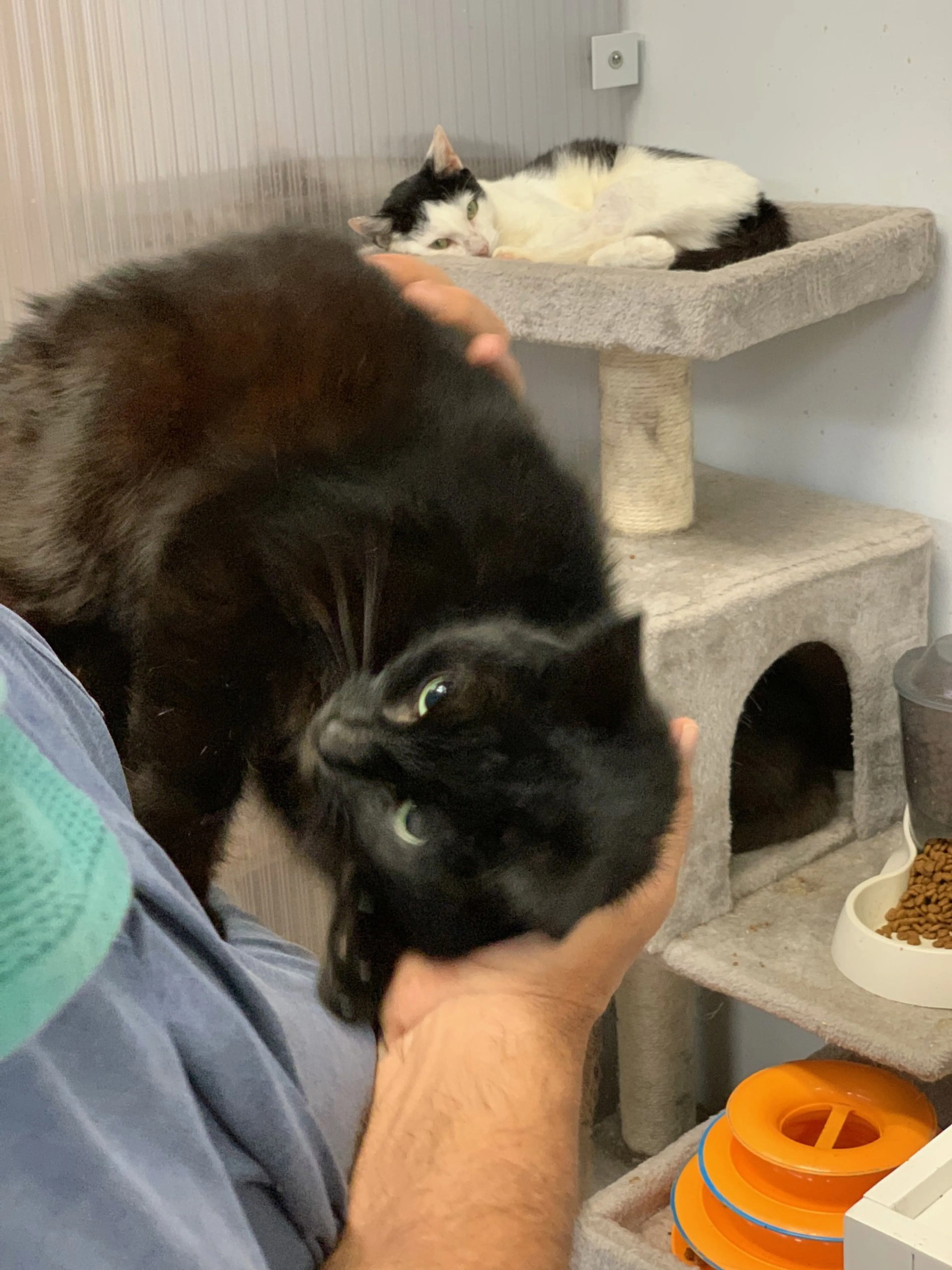 -1