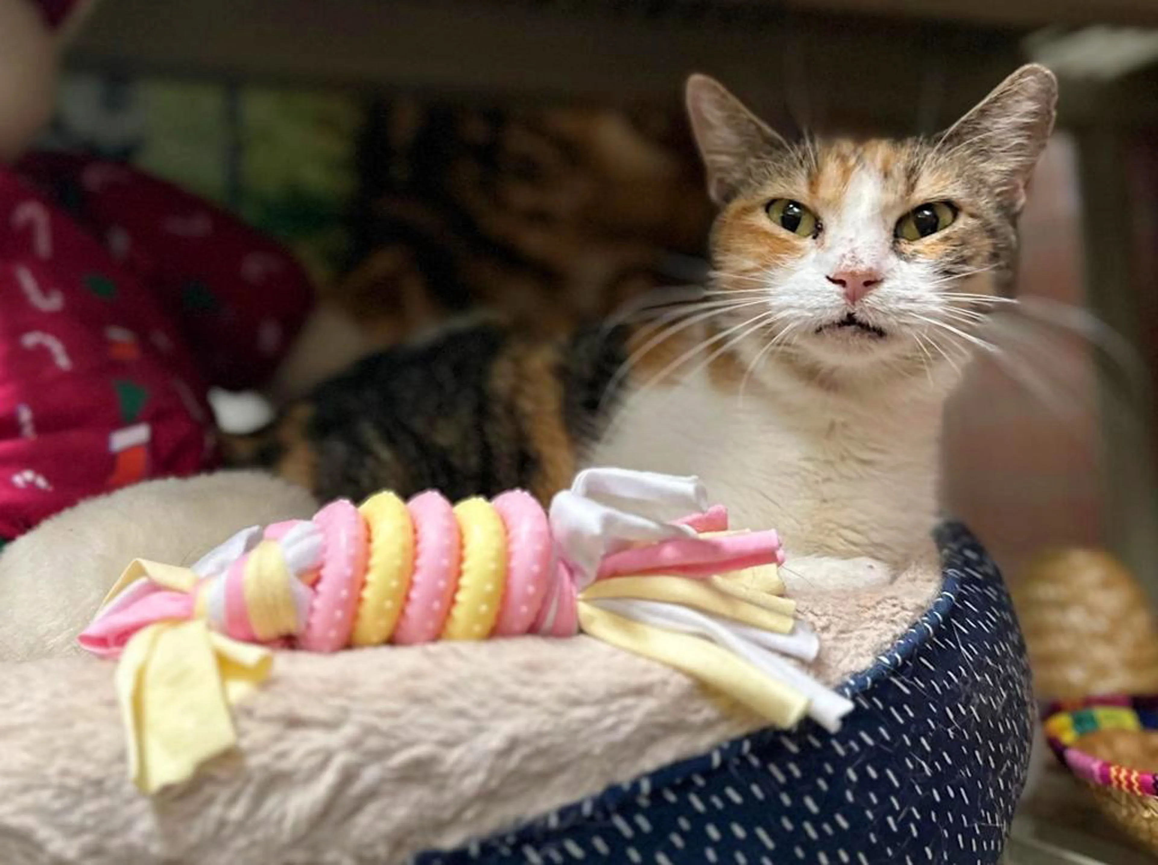 -2