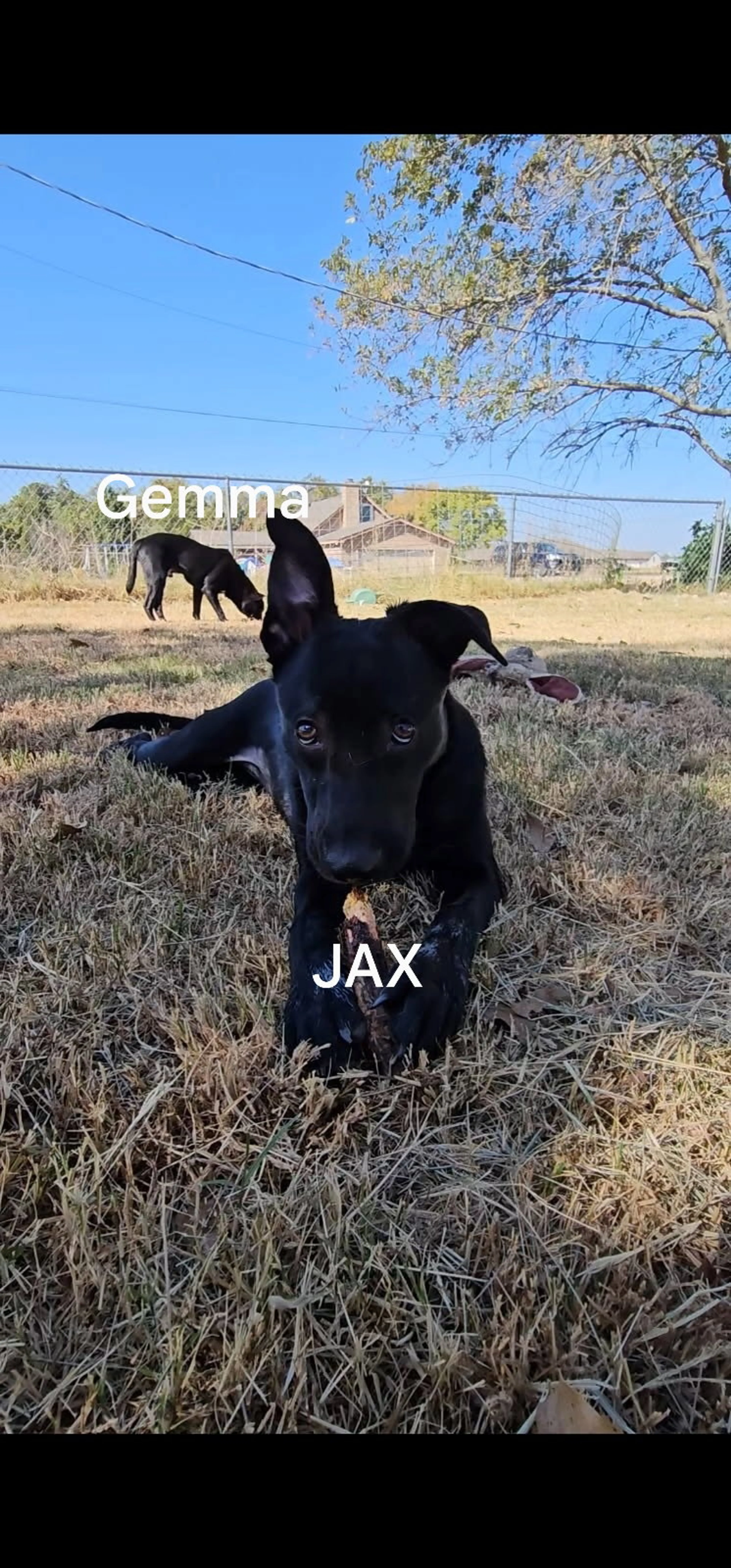 -0