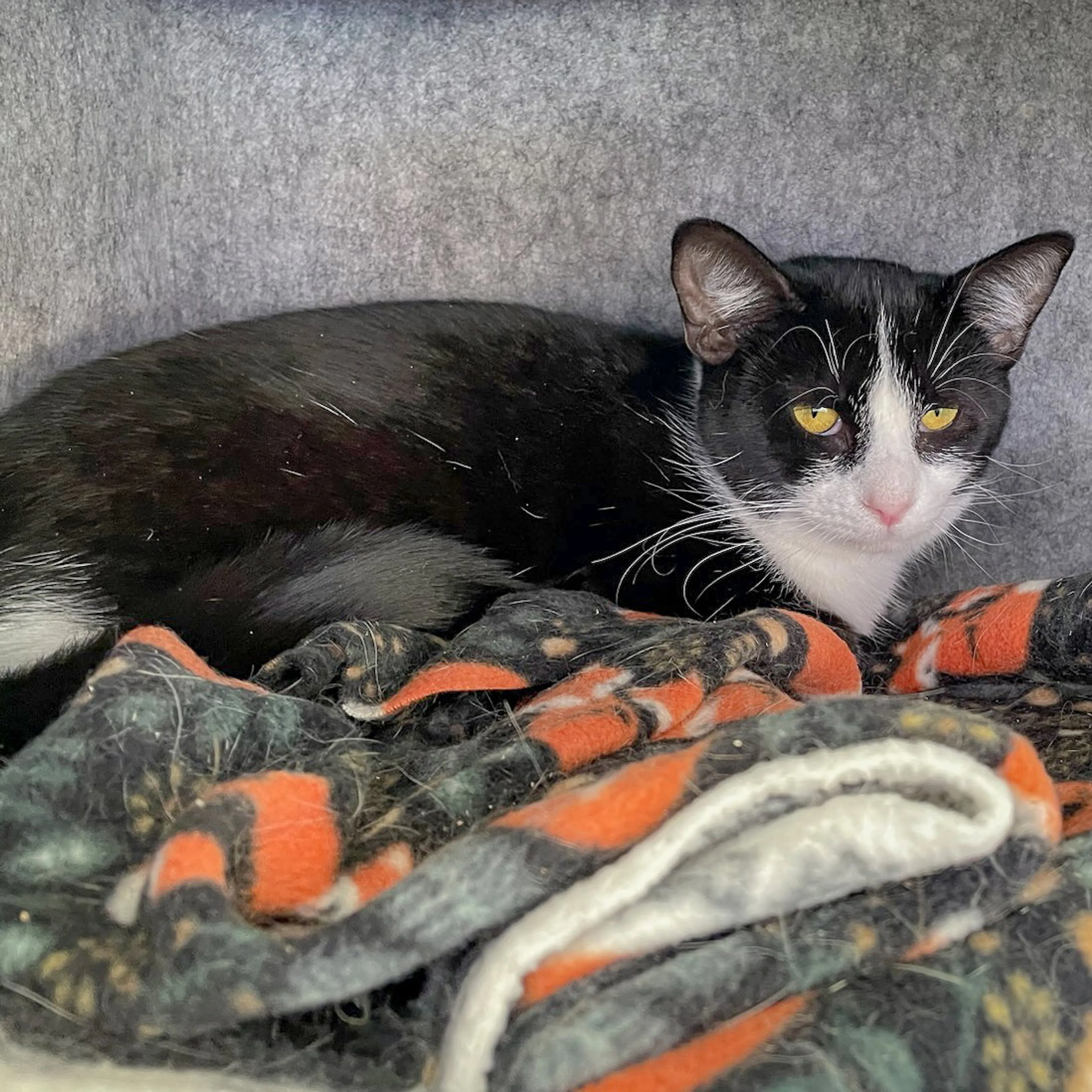 -6