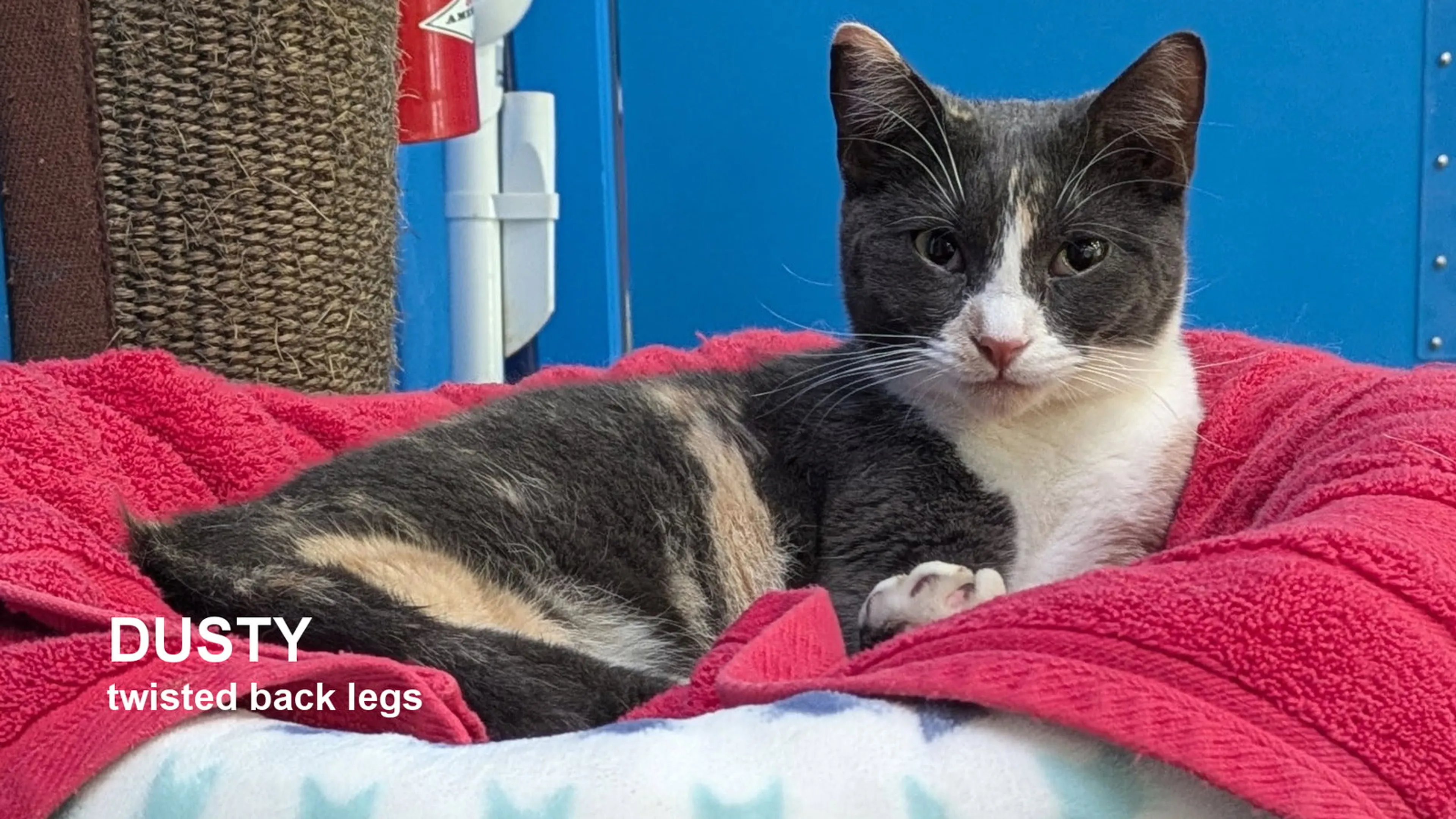 -0