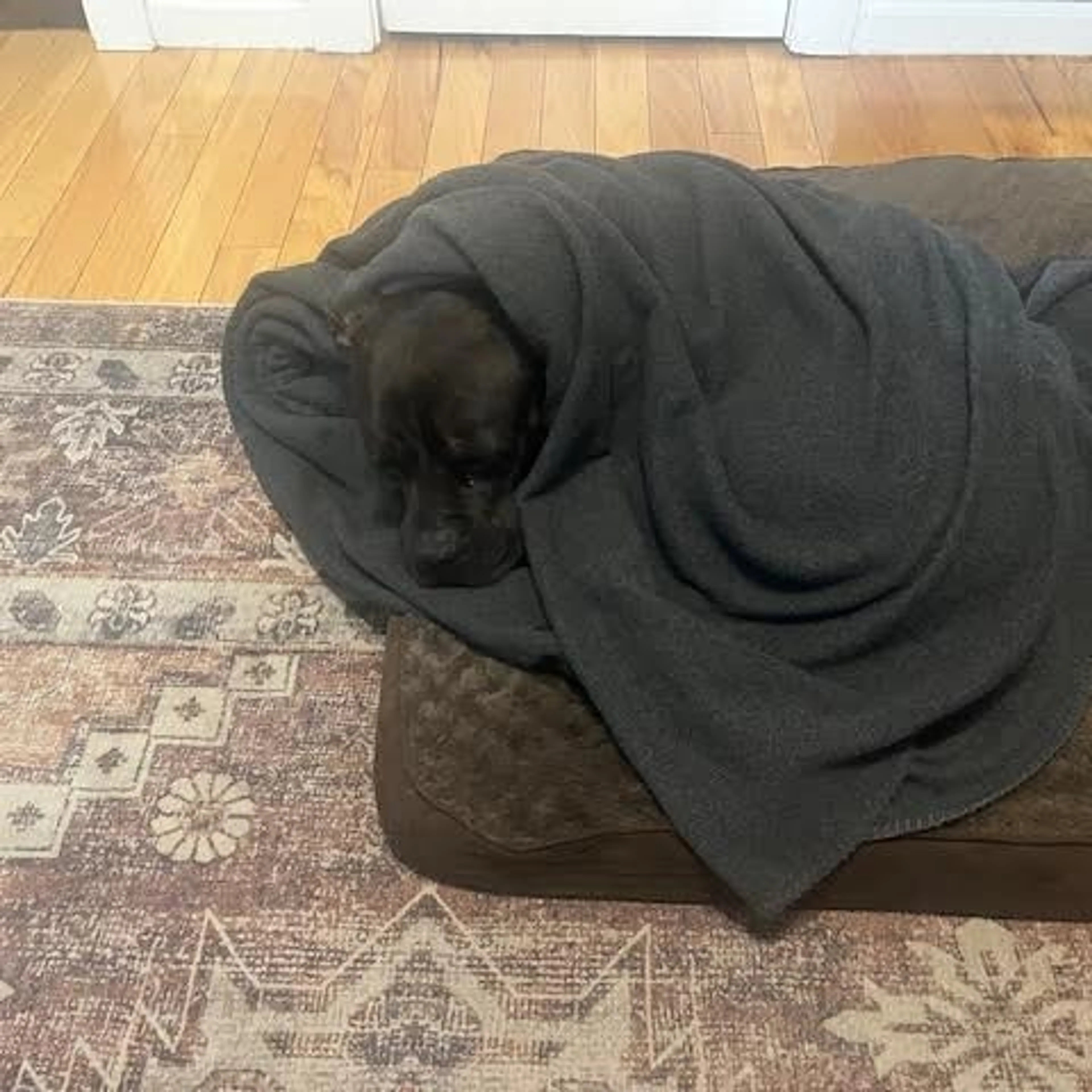 -18