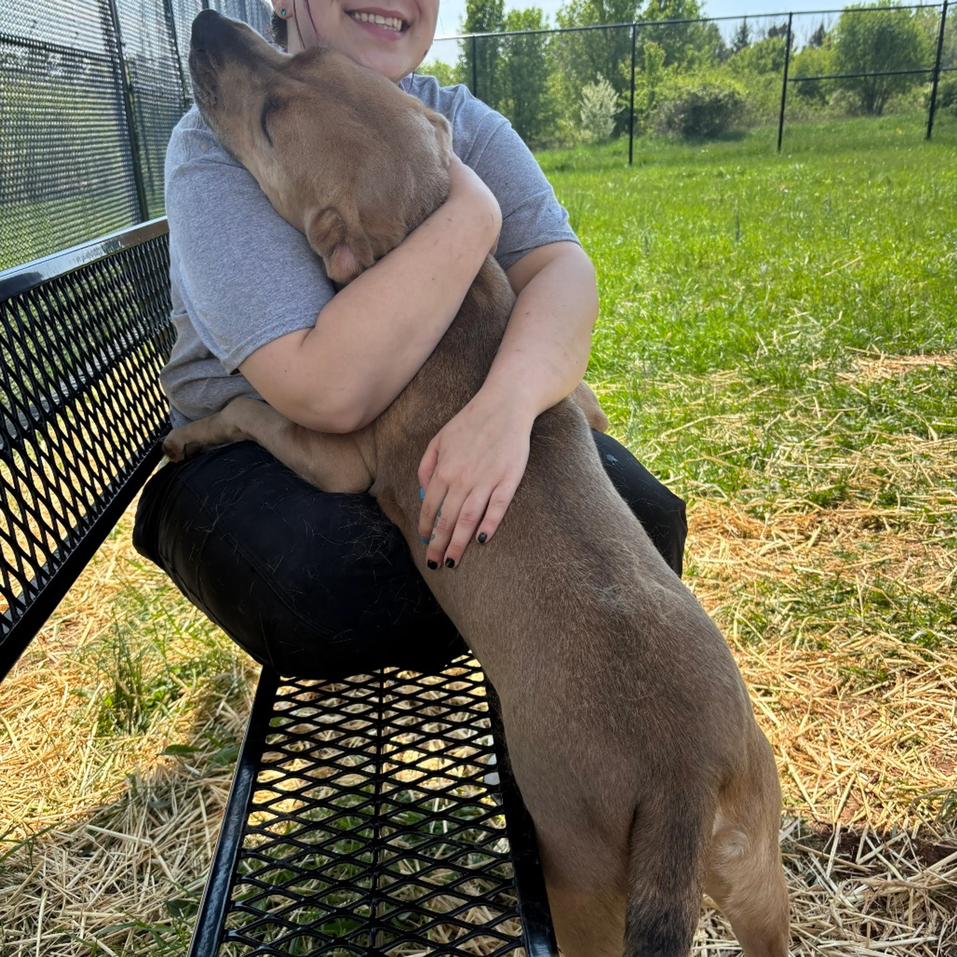 Found pet-8
