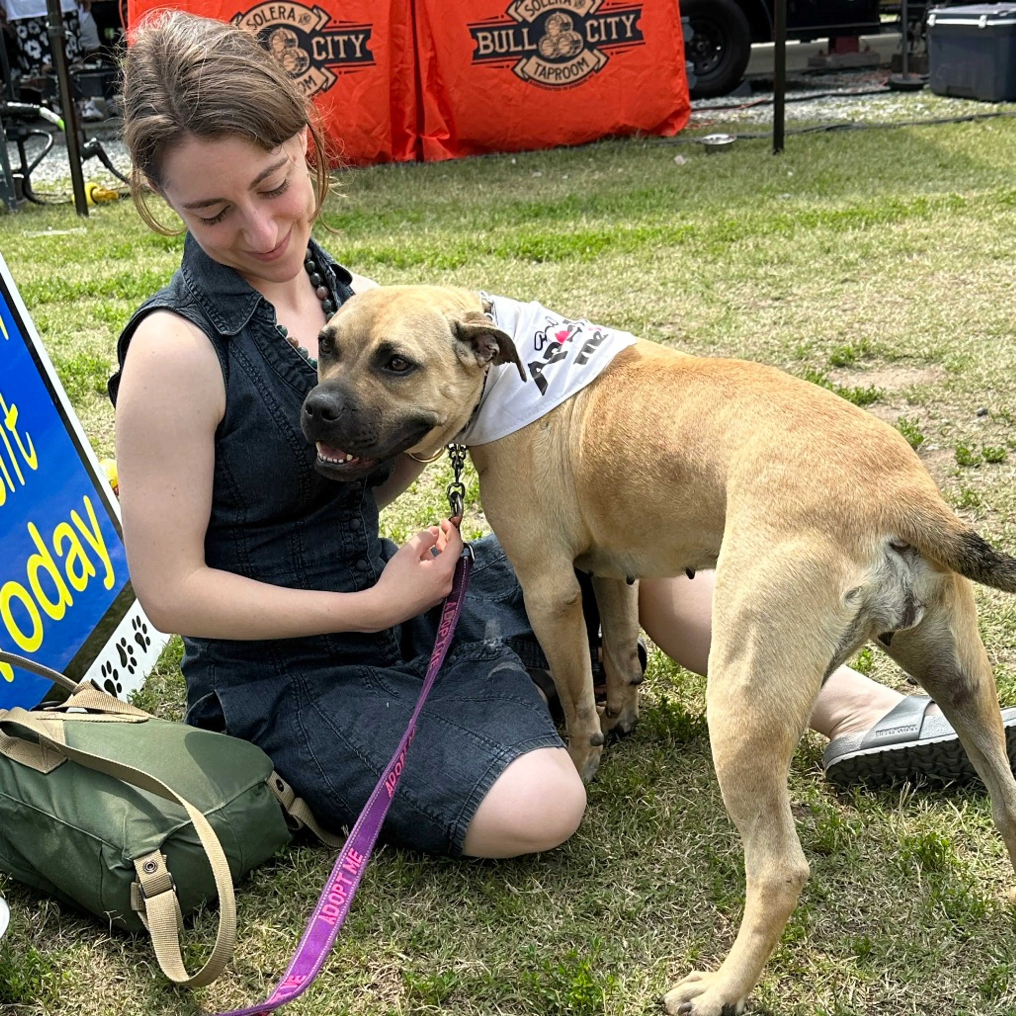 Found pet-2