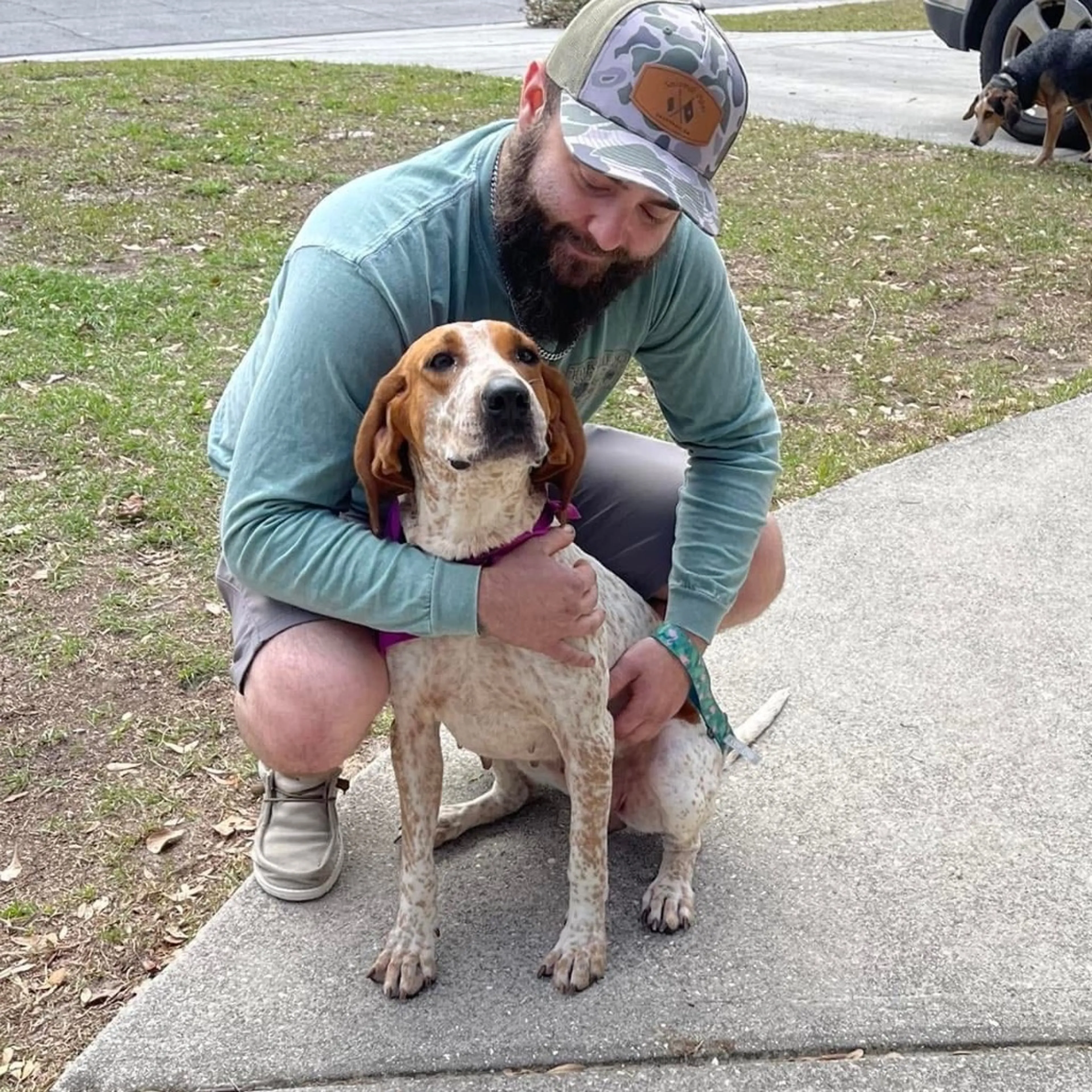 Found pet-6