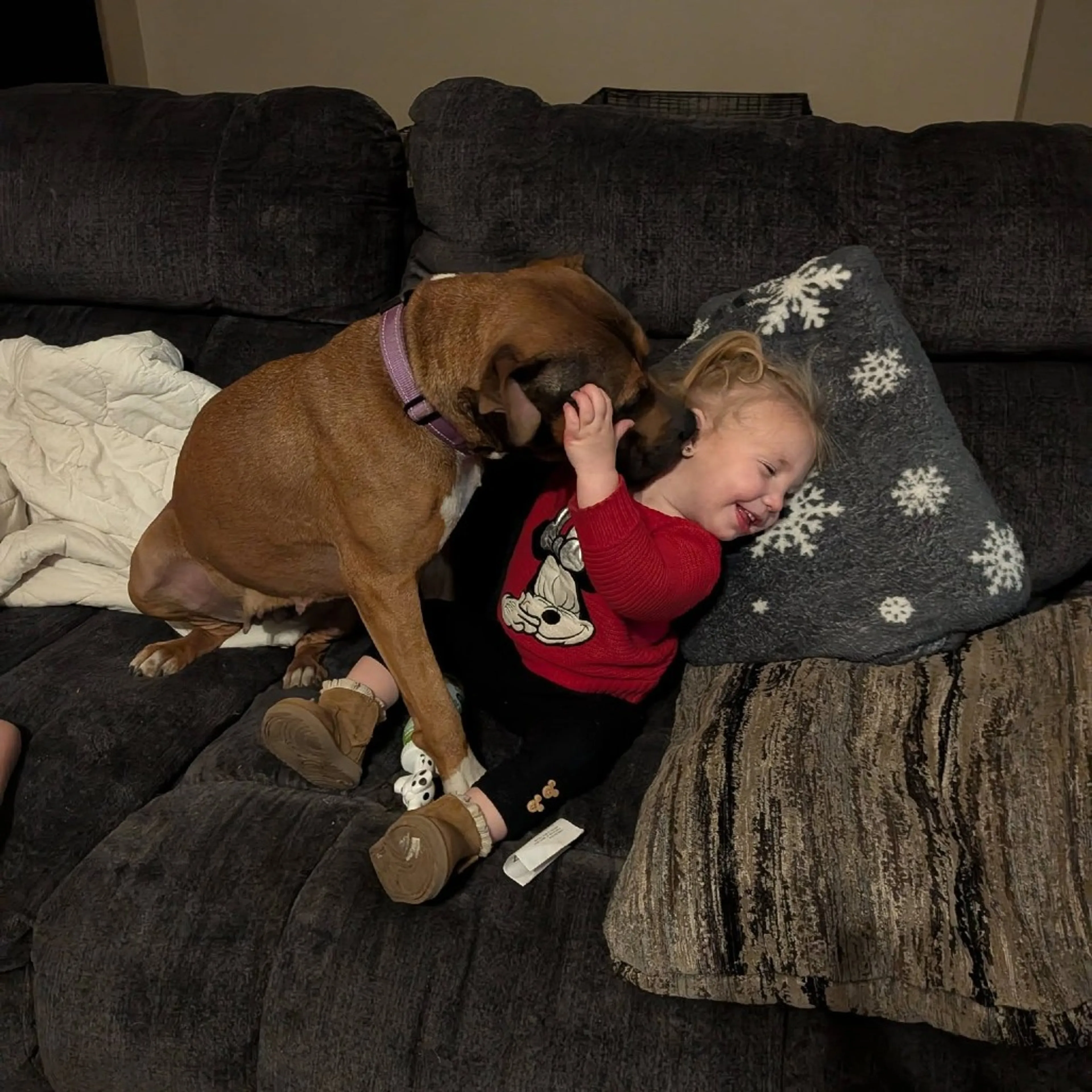 Found pet-35