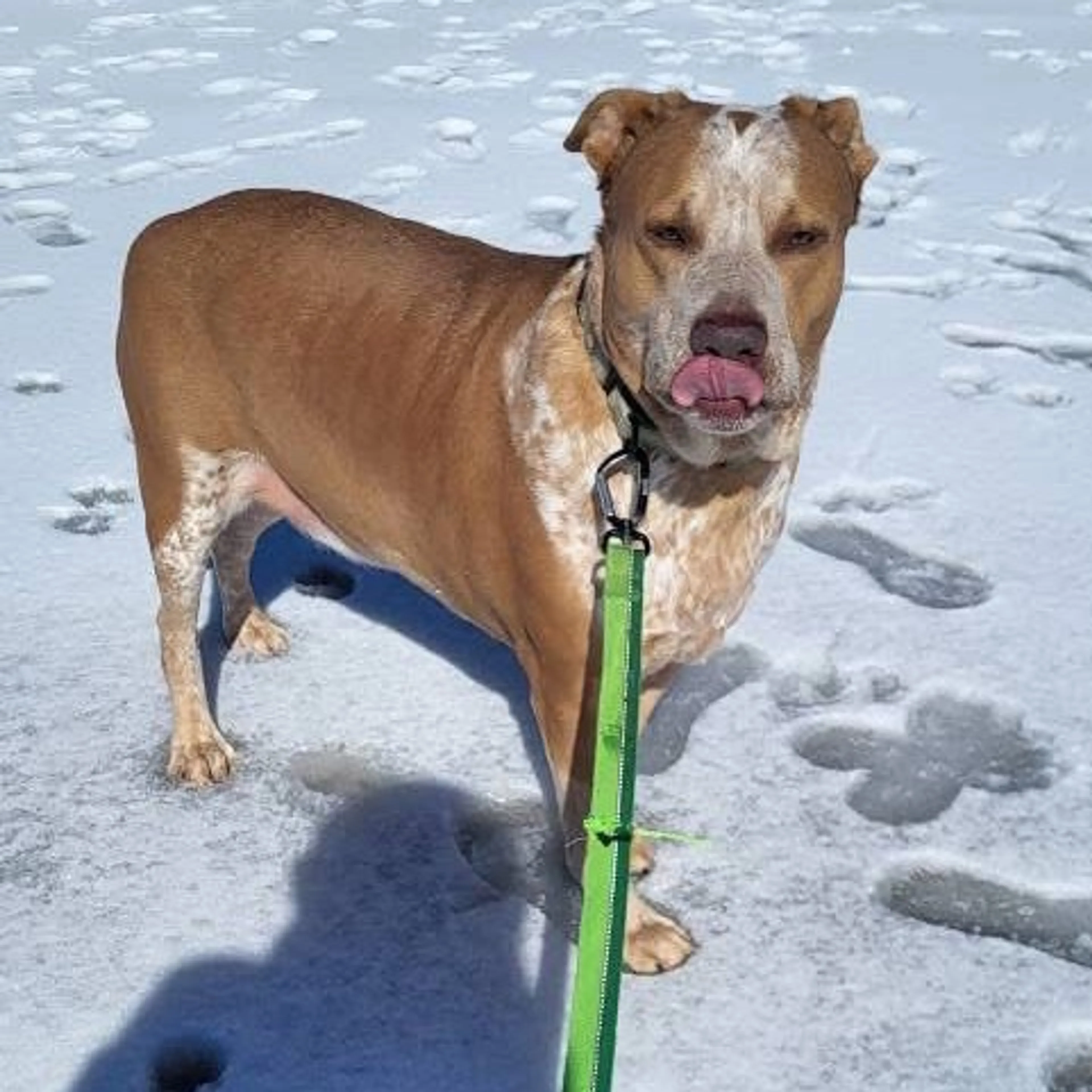 -17