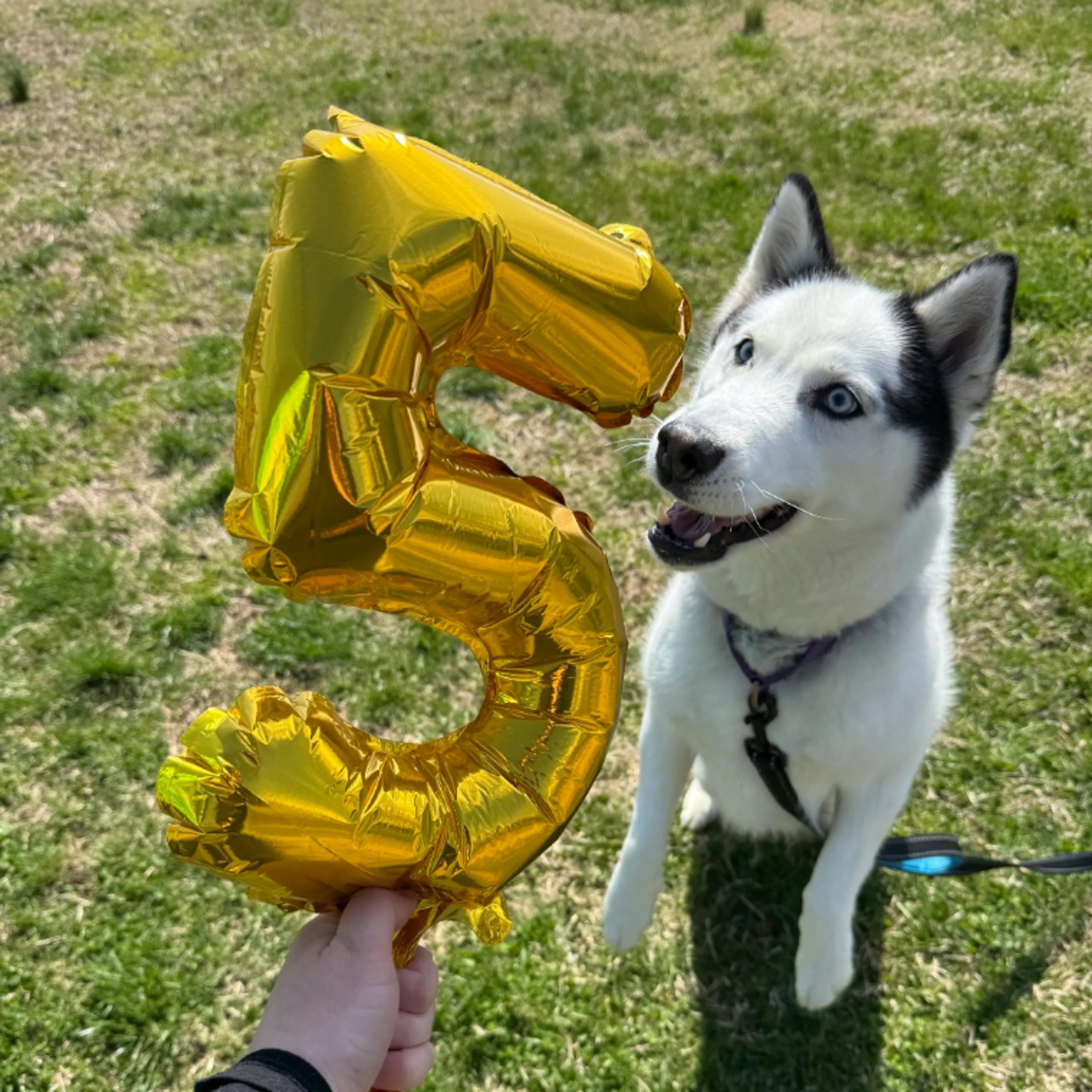 -17
