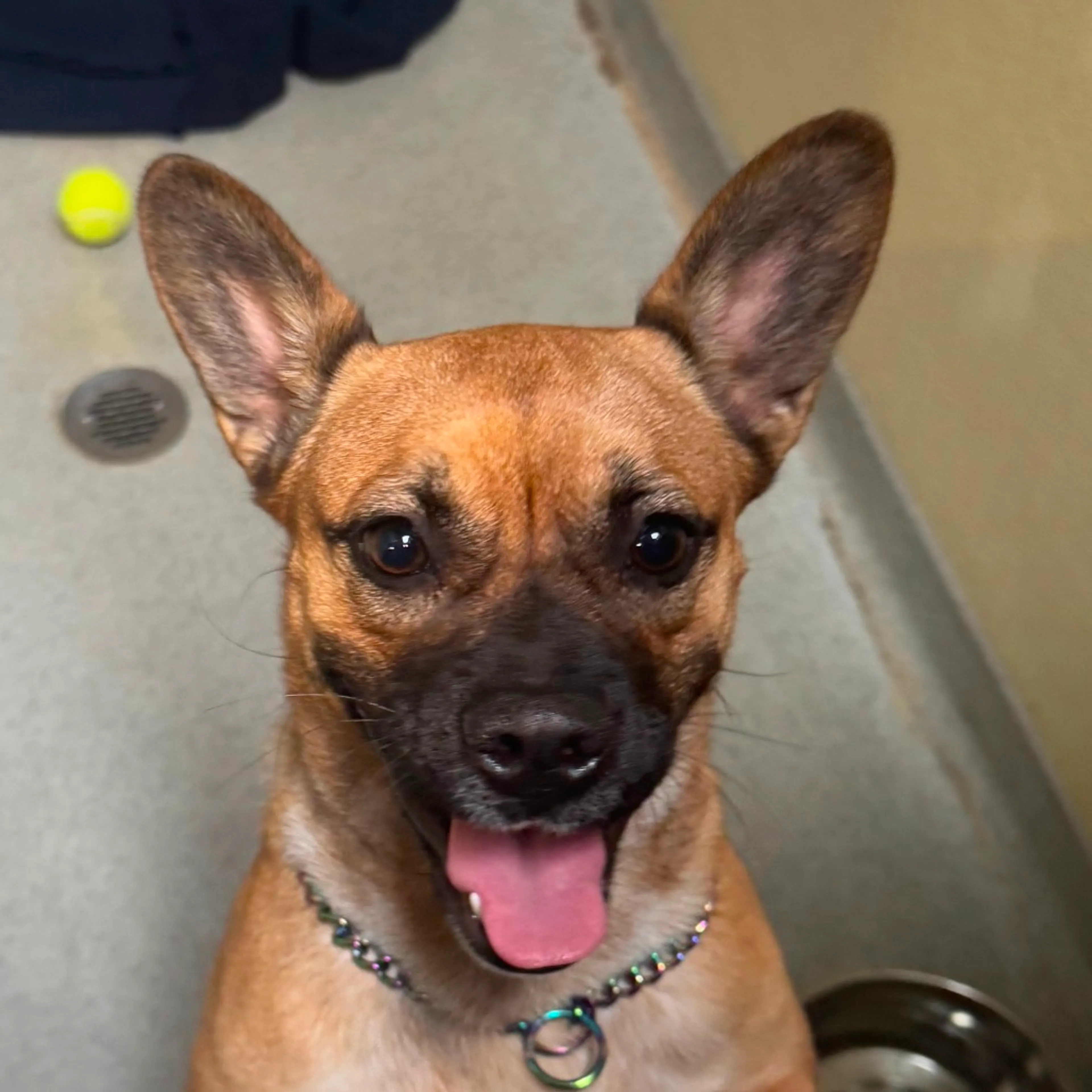cdn image