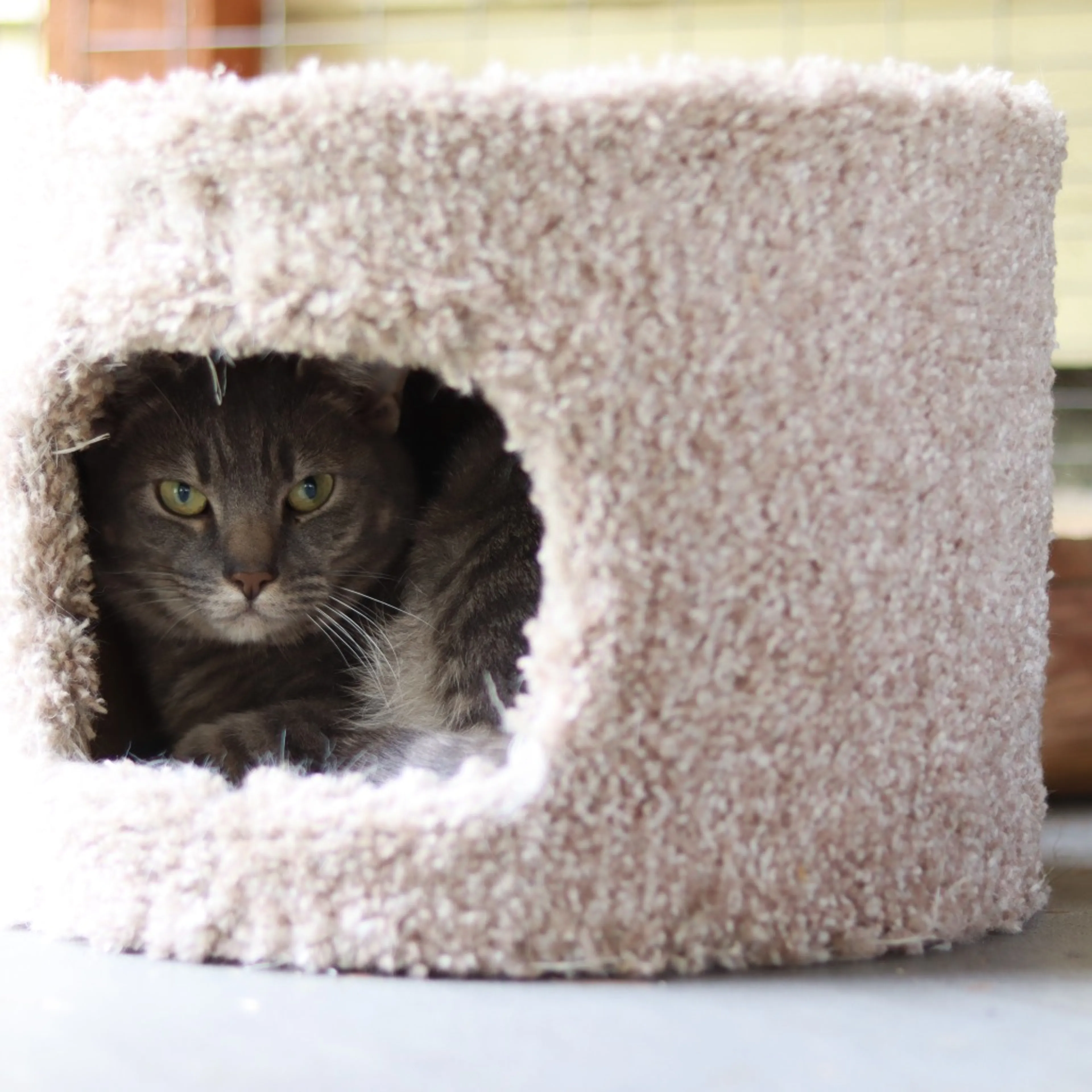 -5