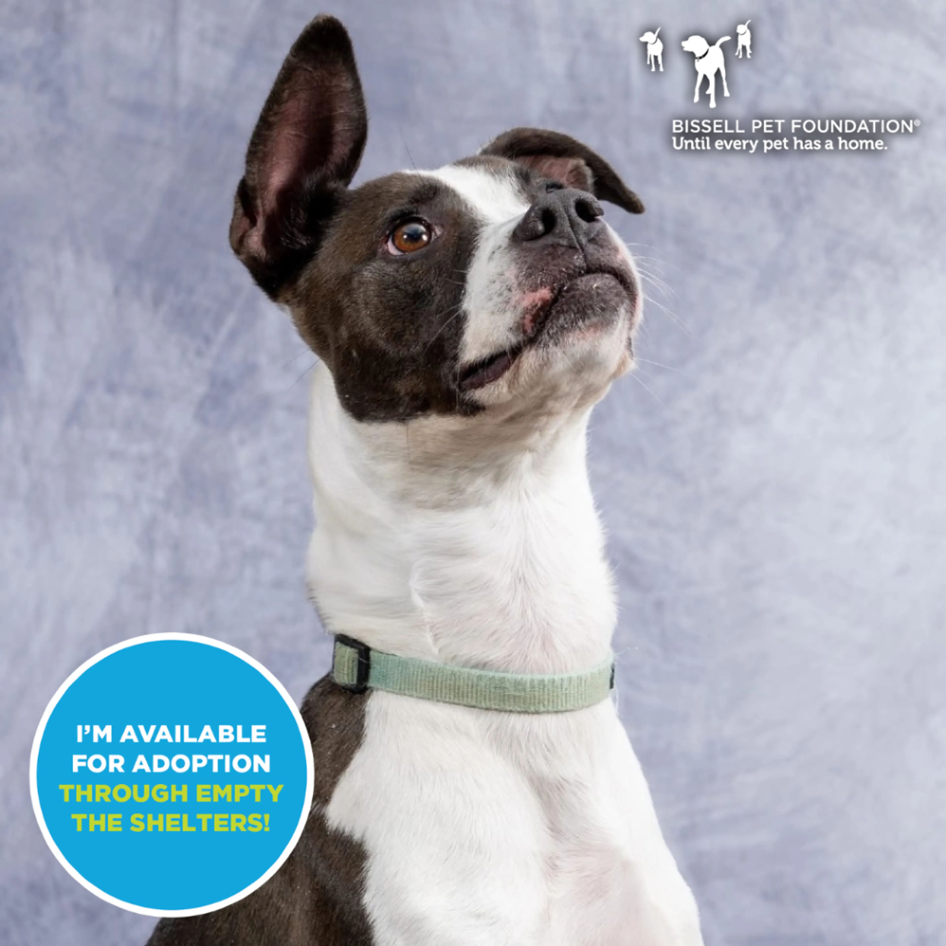cdn image