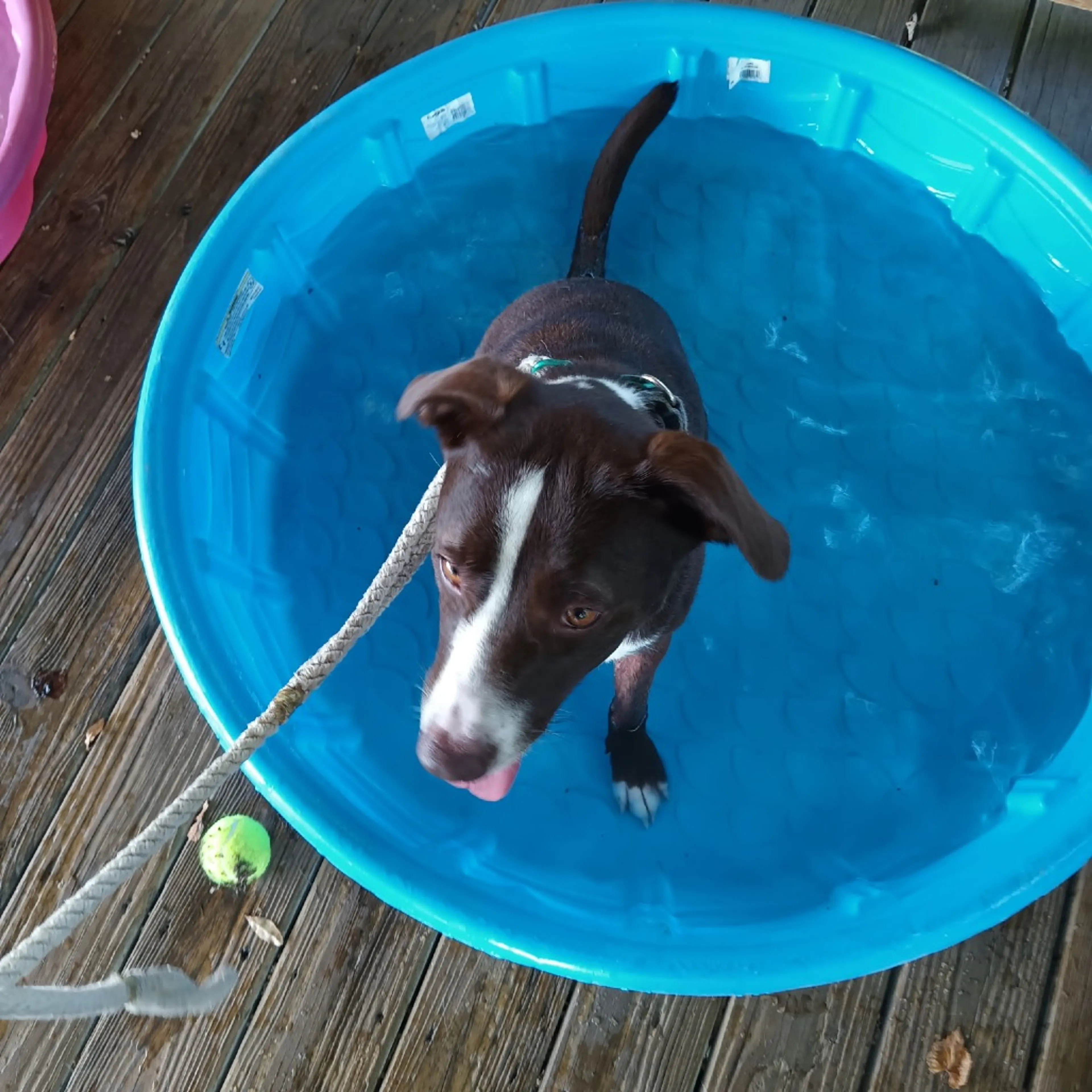 -14