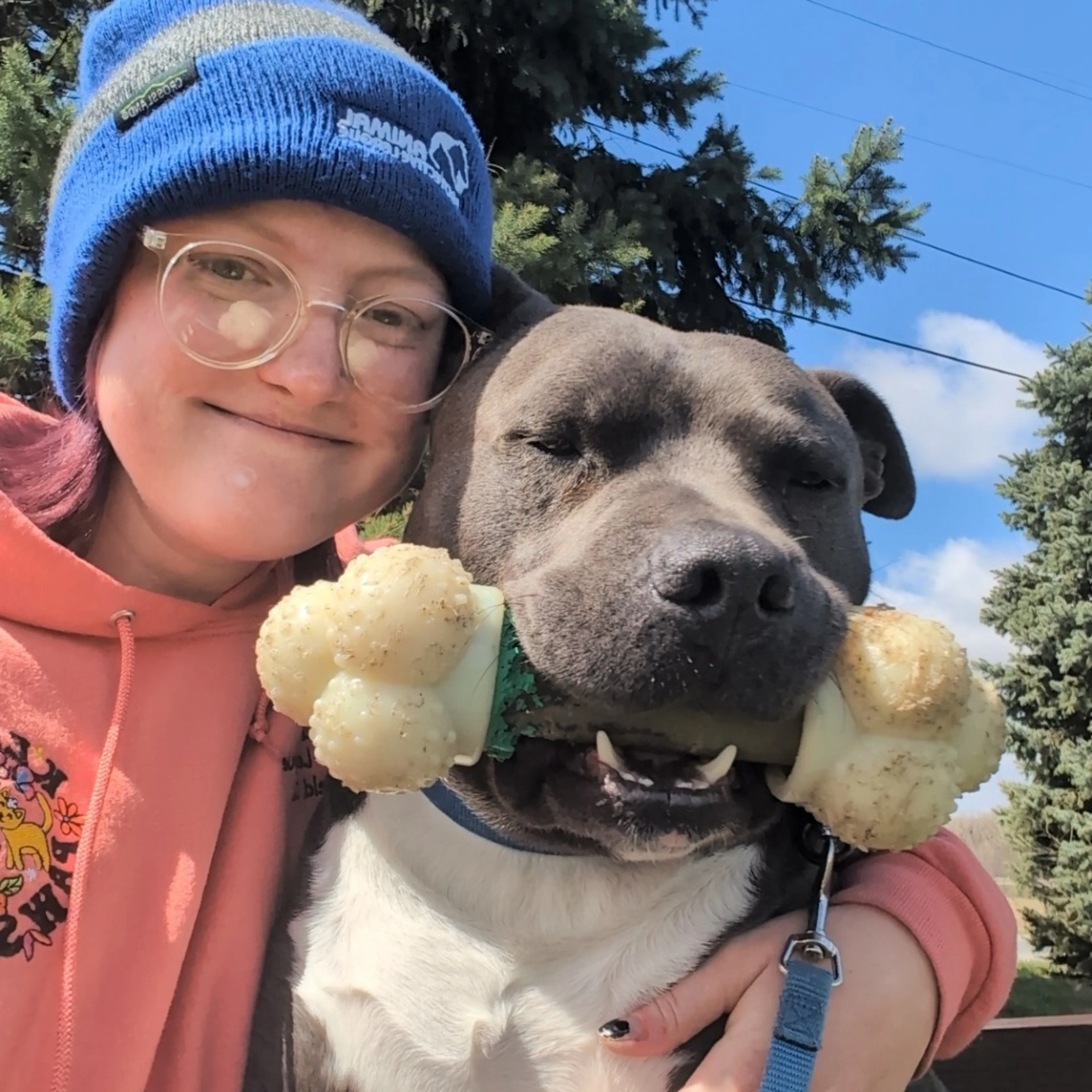Found pet-16