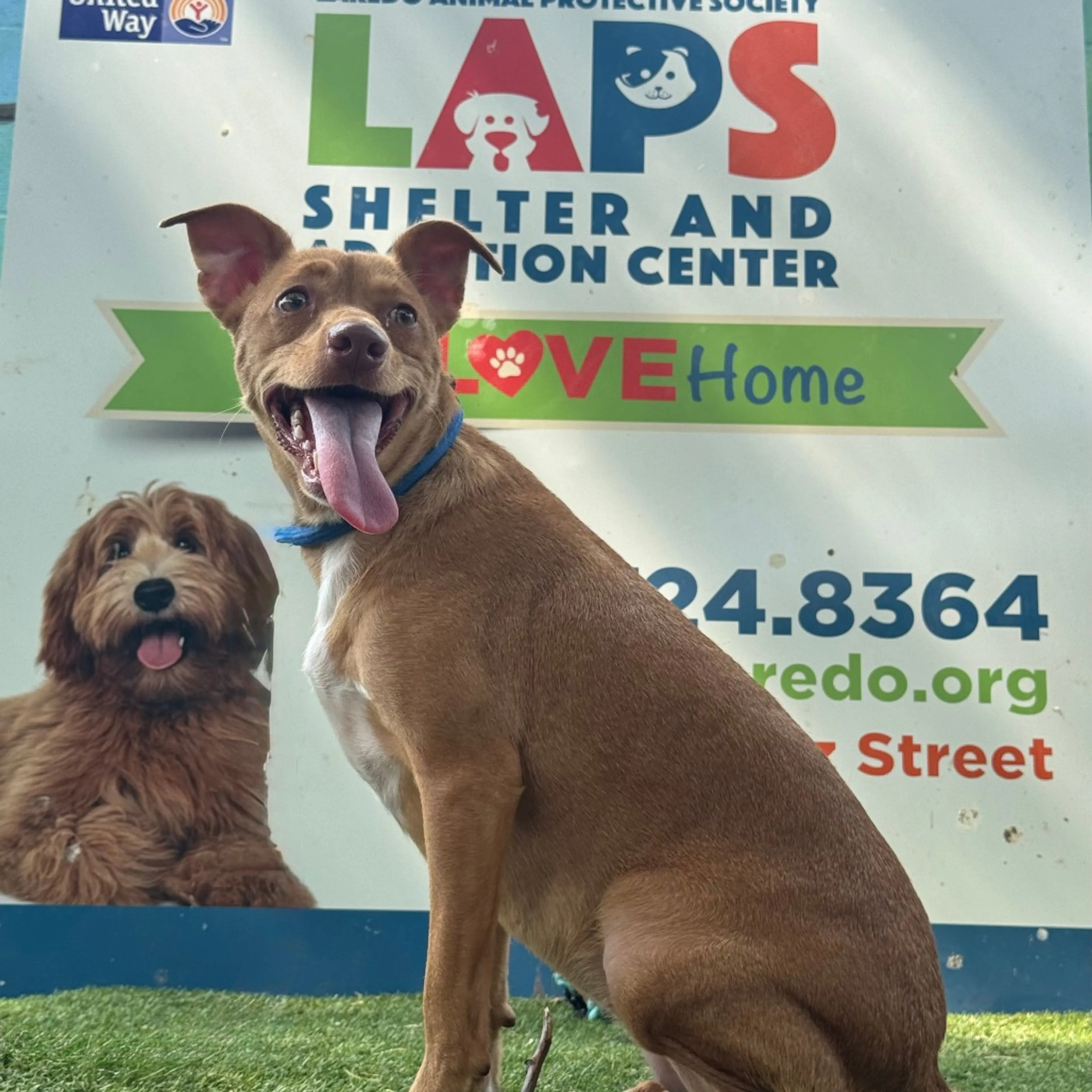 -3