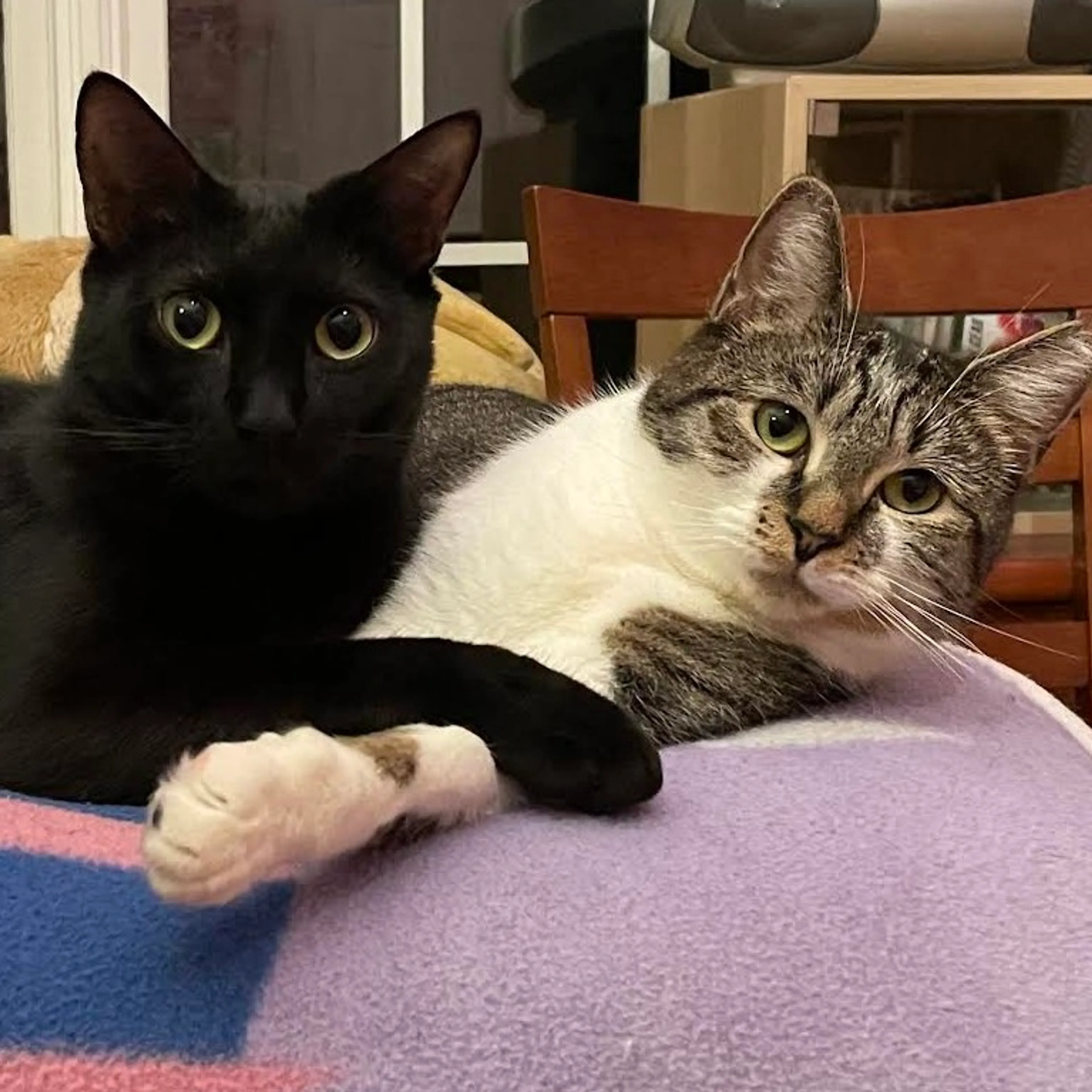 -17