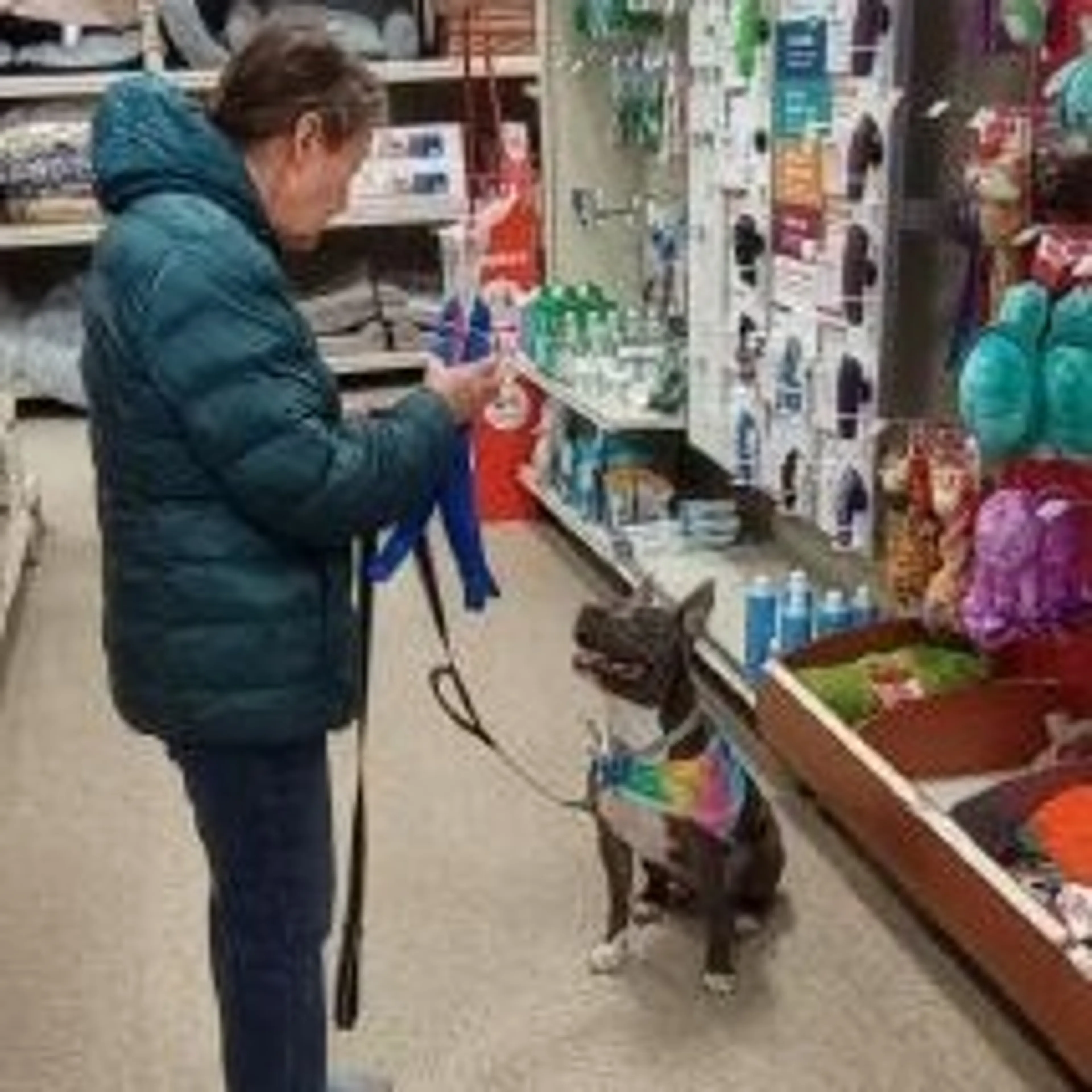 Found pet-26