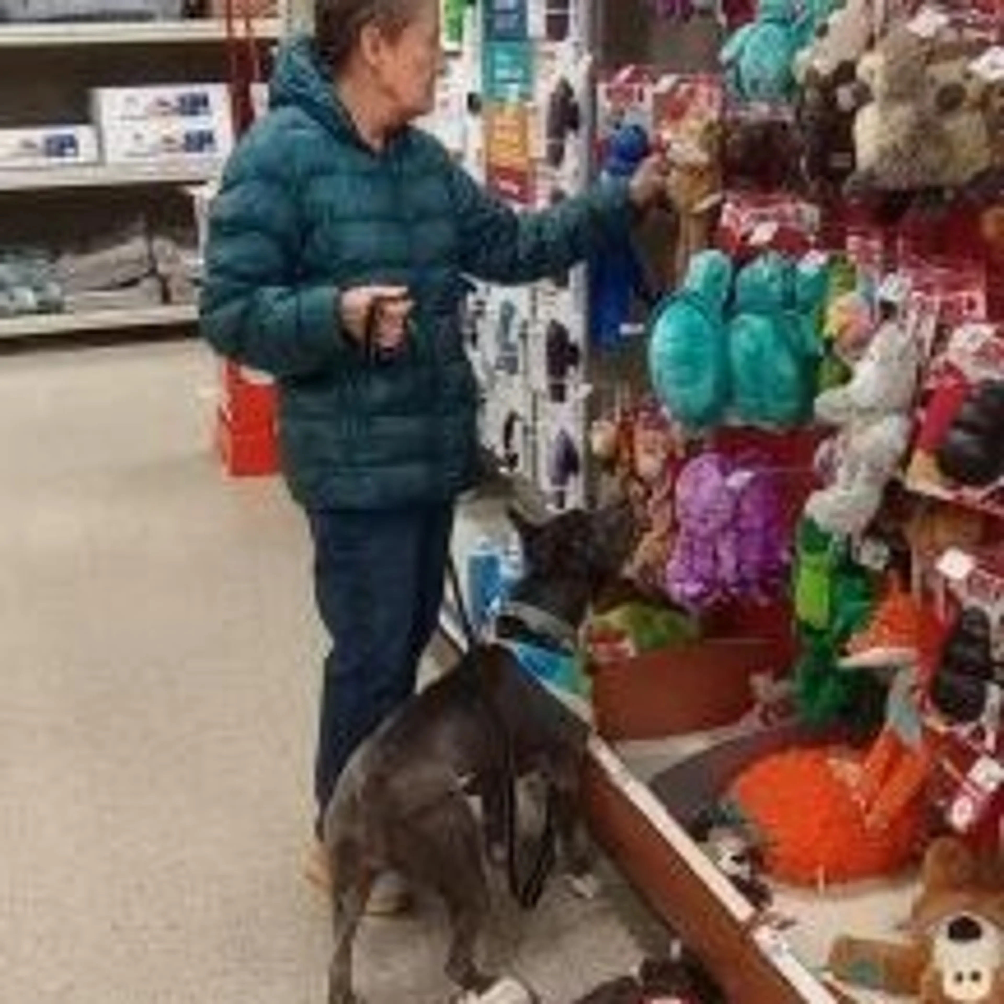 Found pet-25