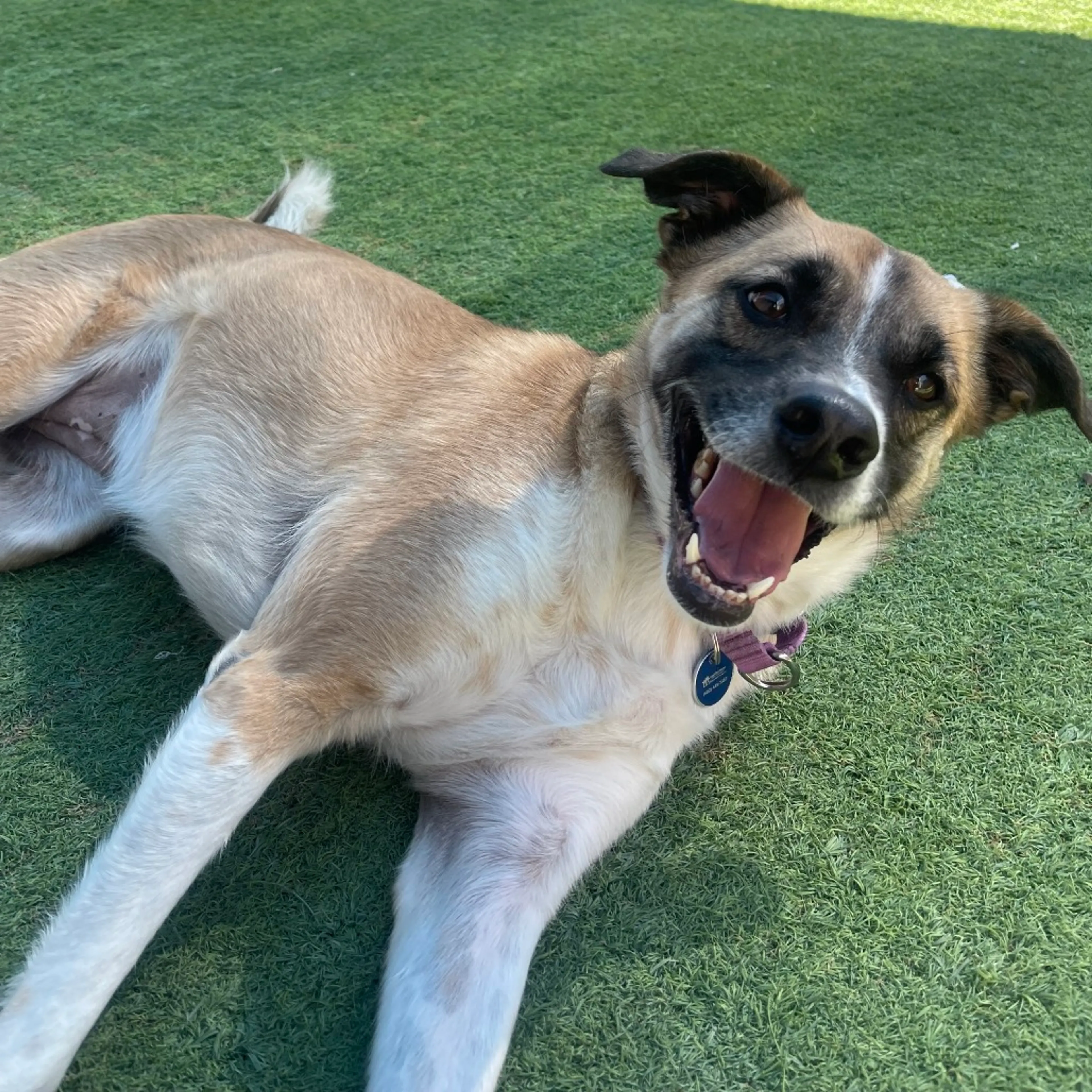 -22