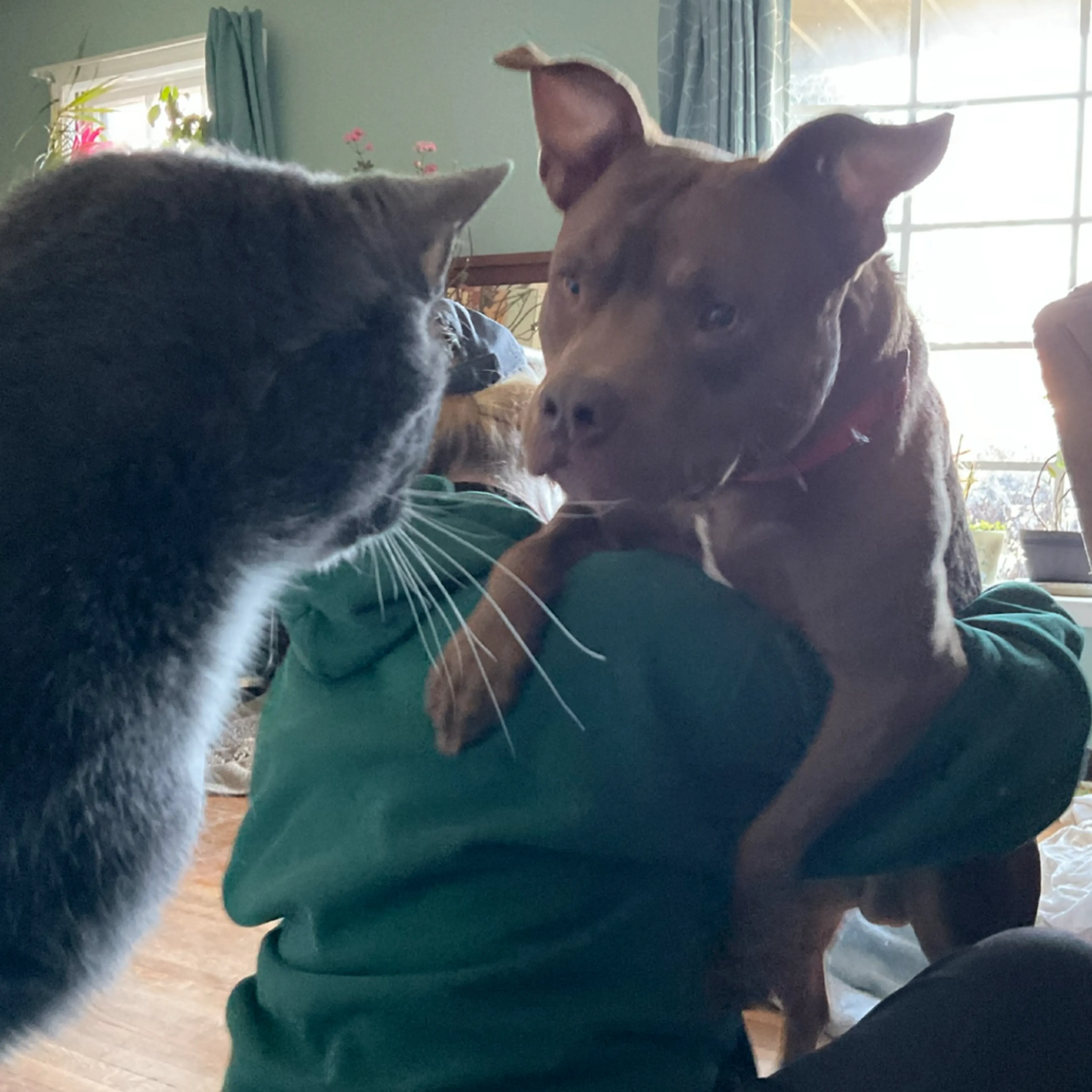-2