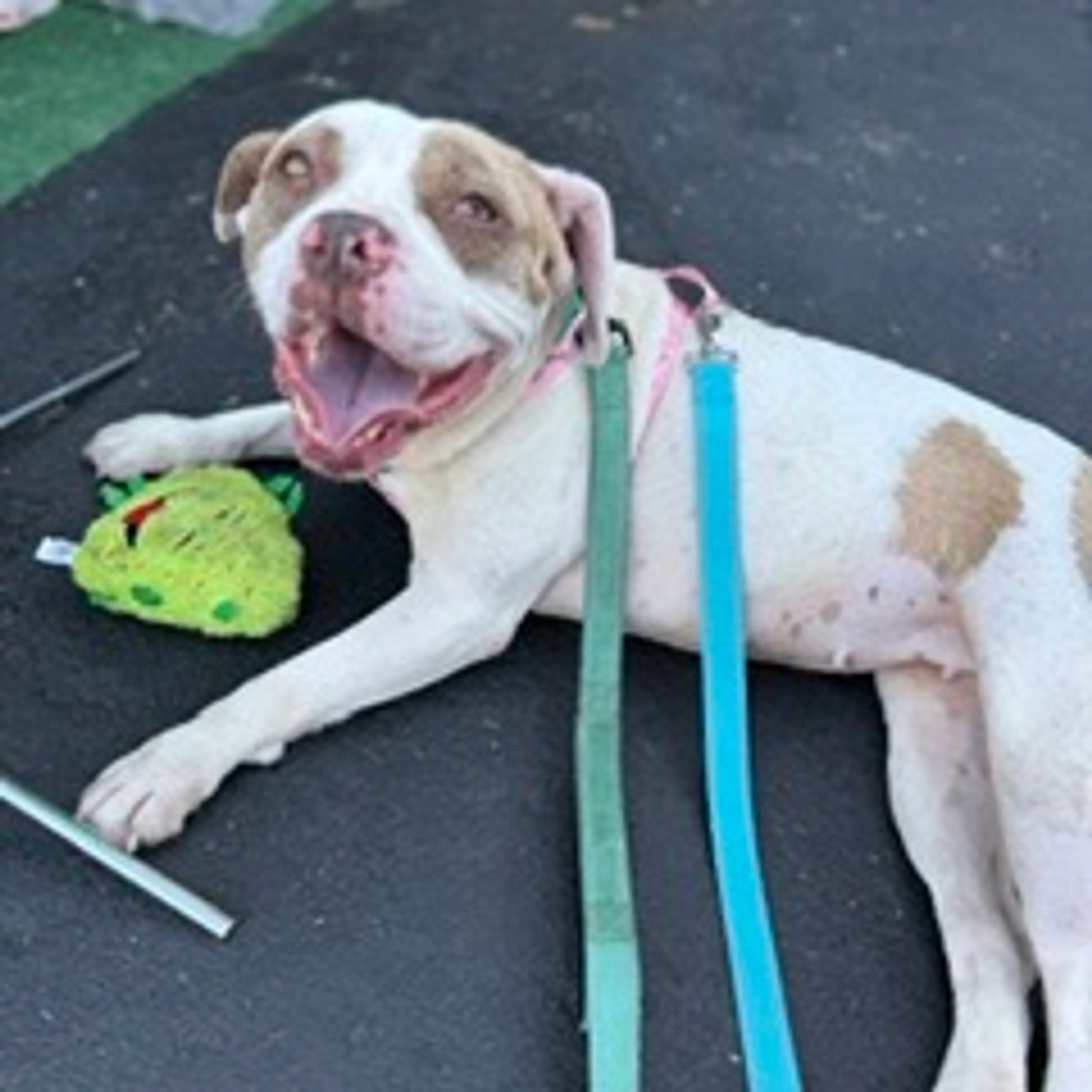 -19