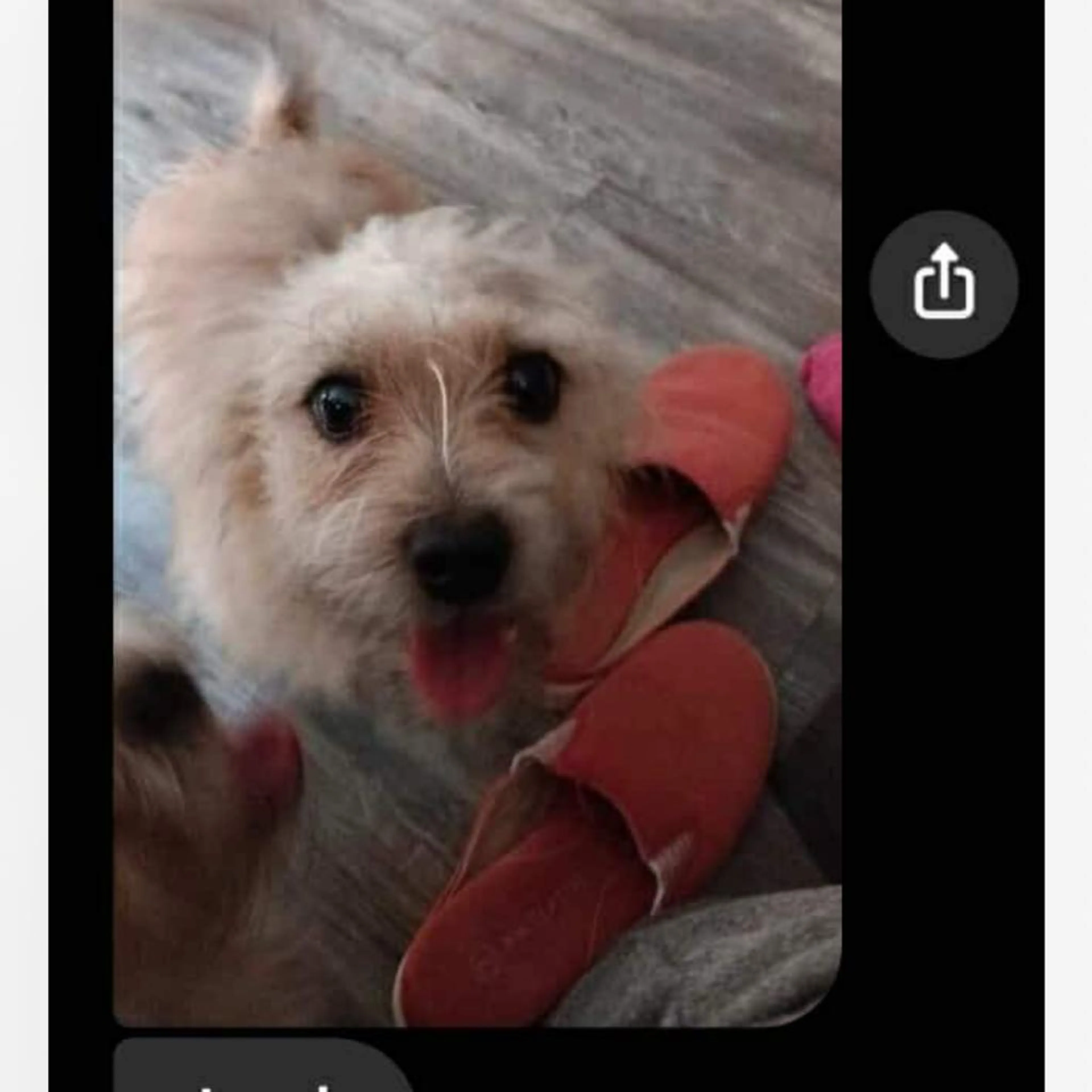 cdn image