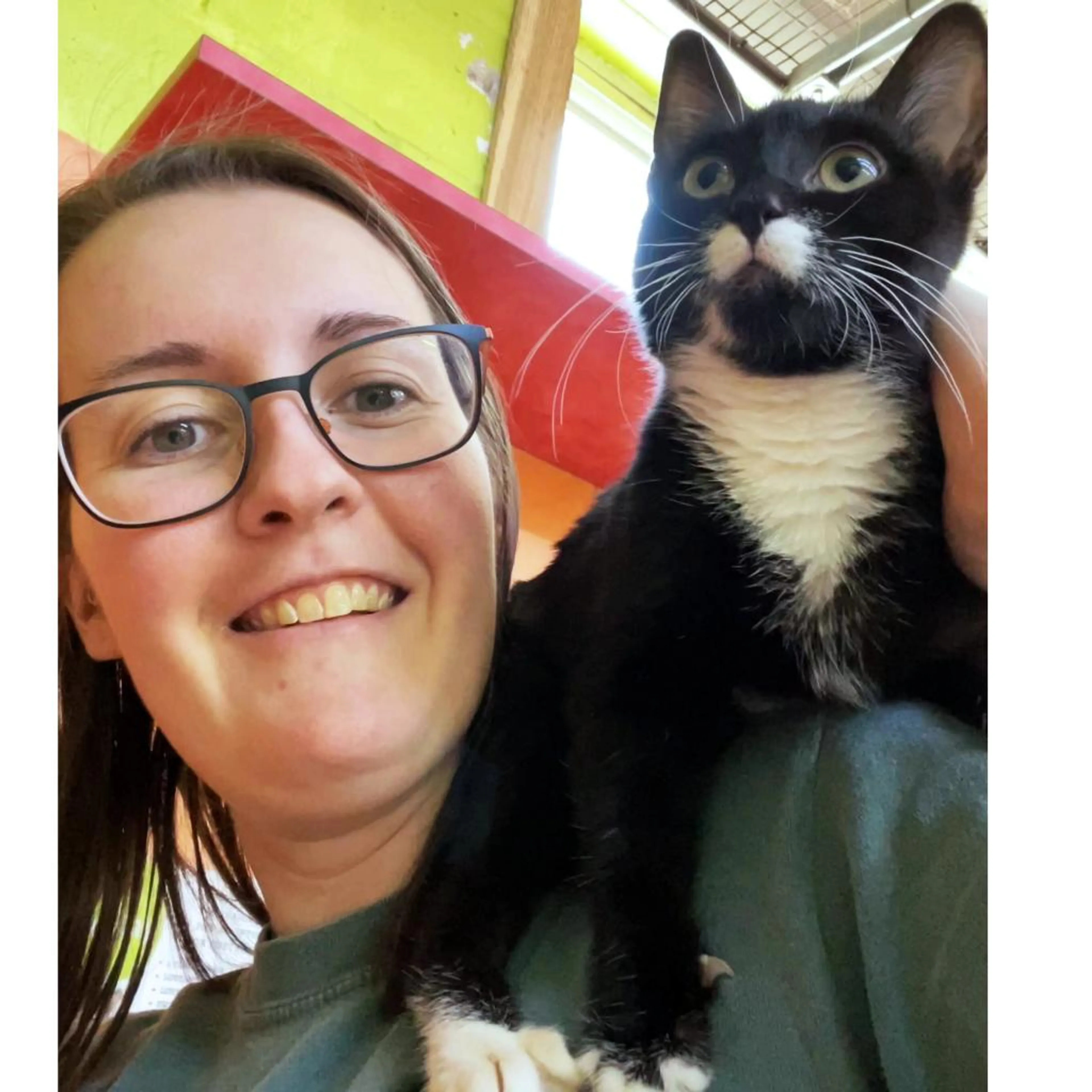 Found pet-11