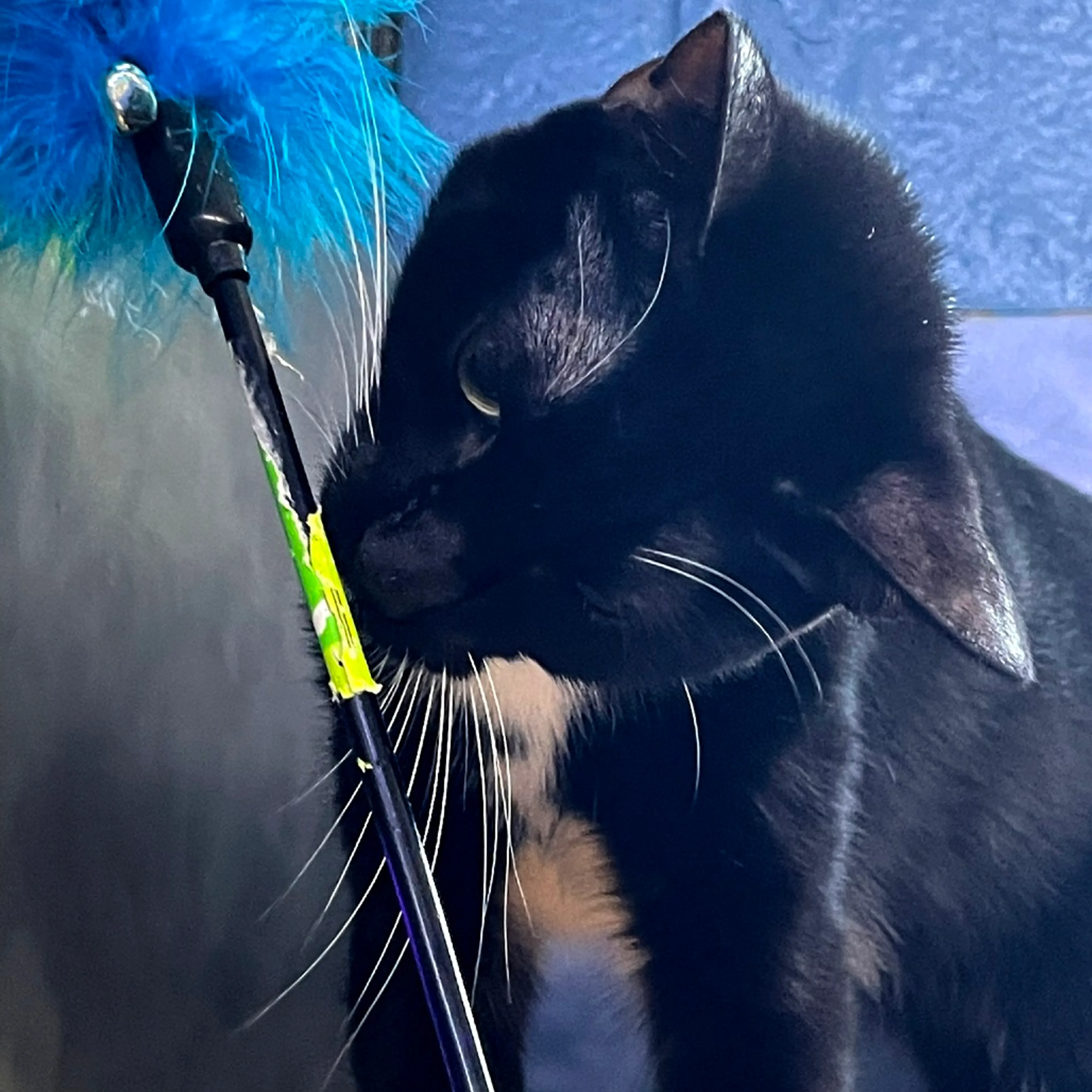 -20