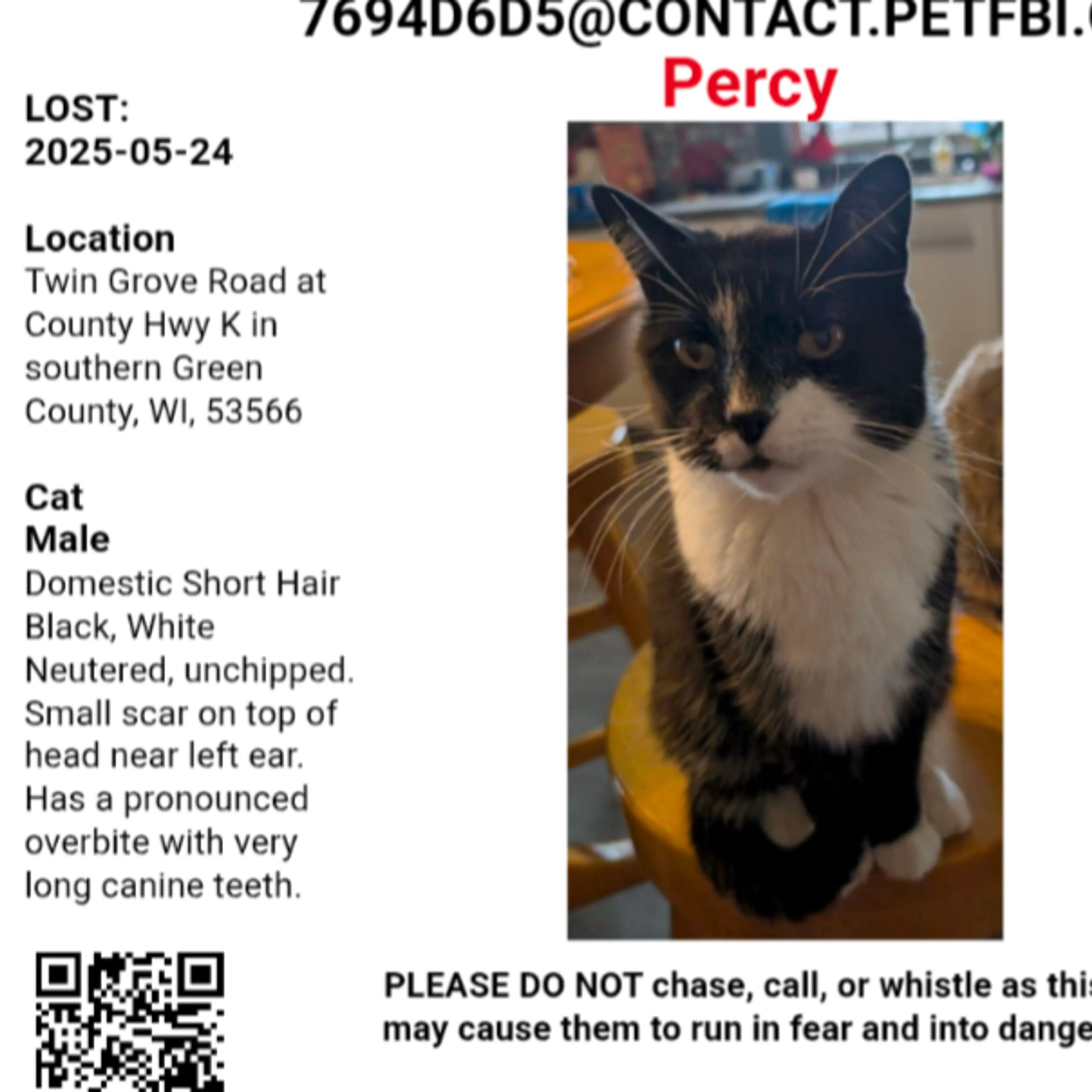 Lost pet-1
