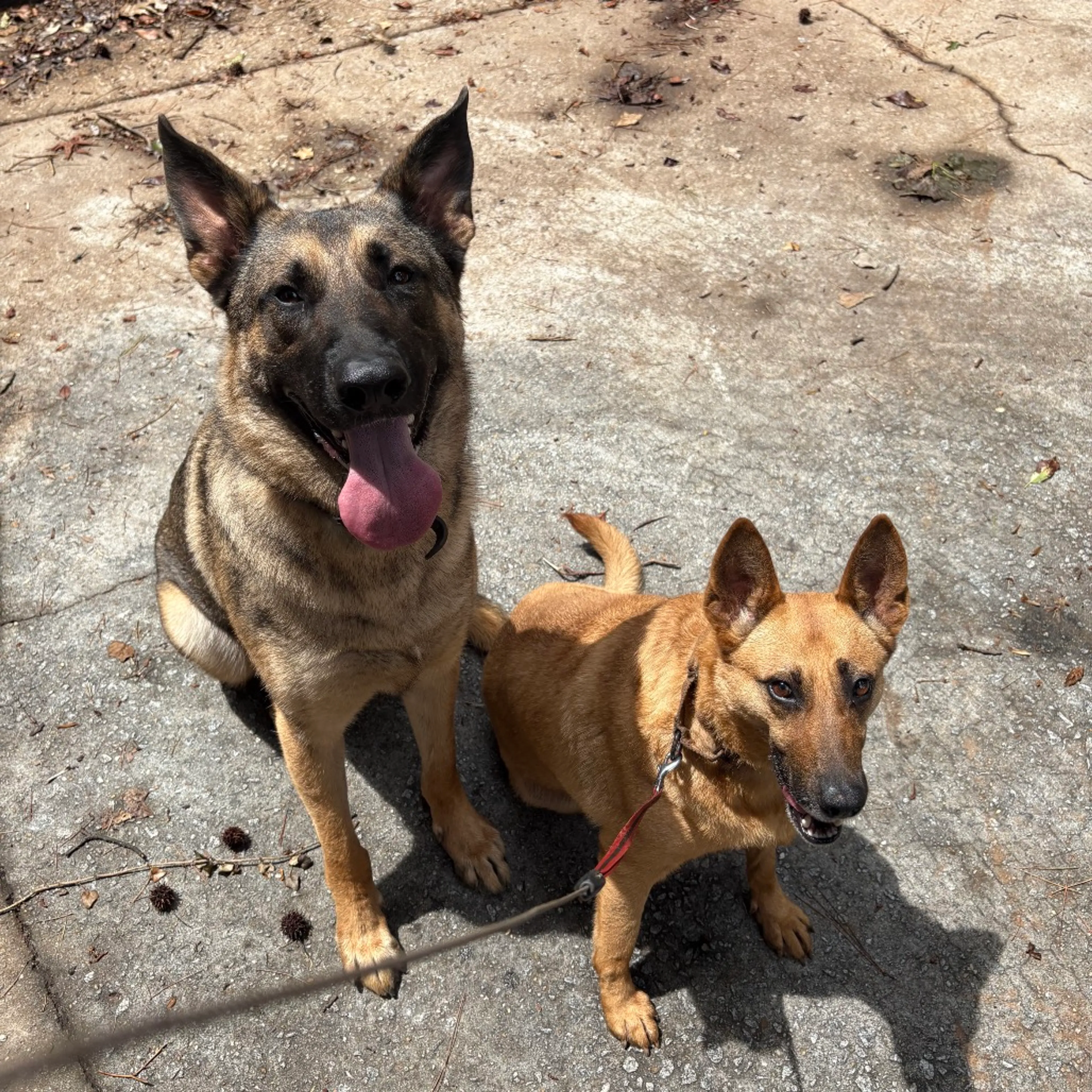 -1