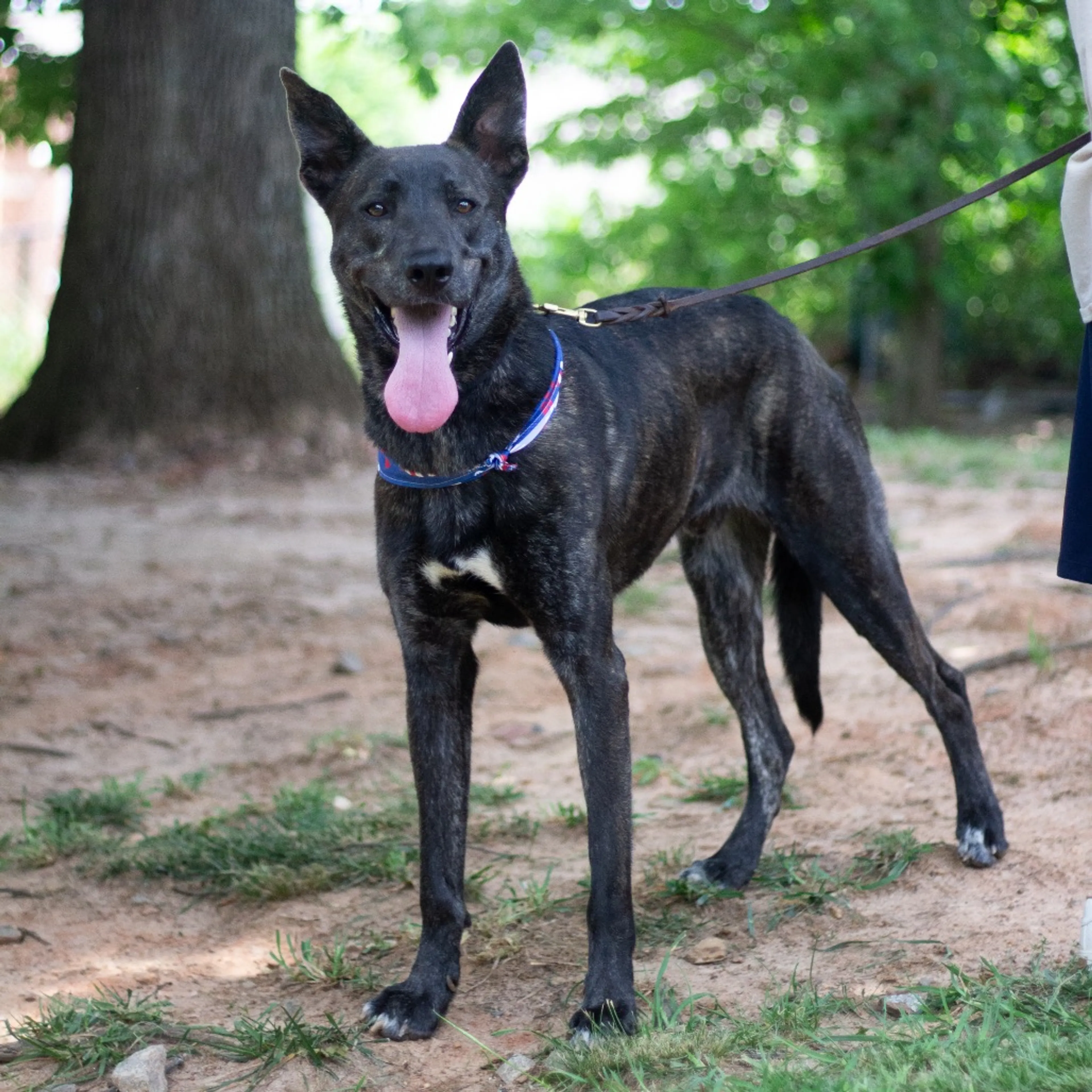 -27