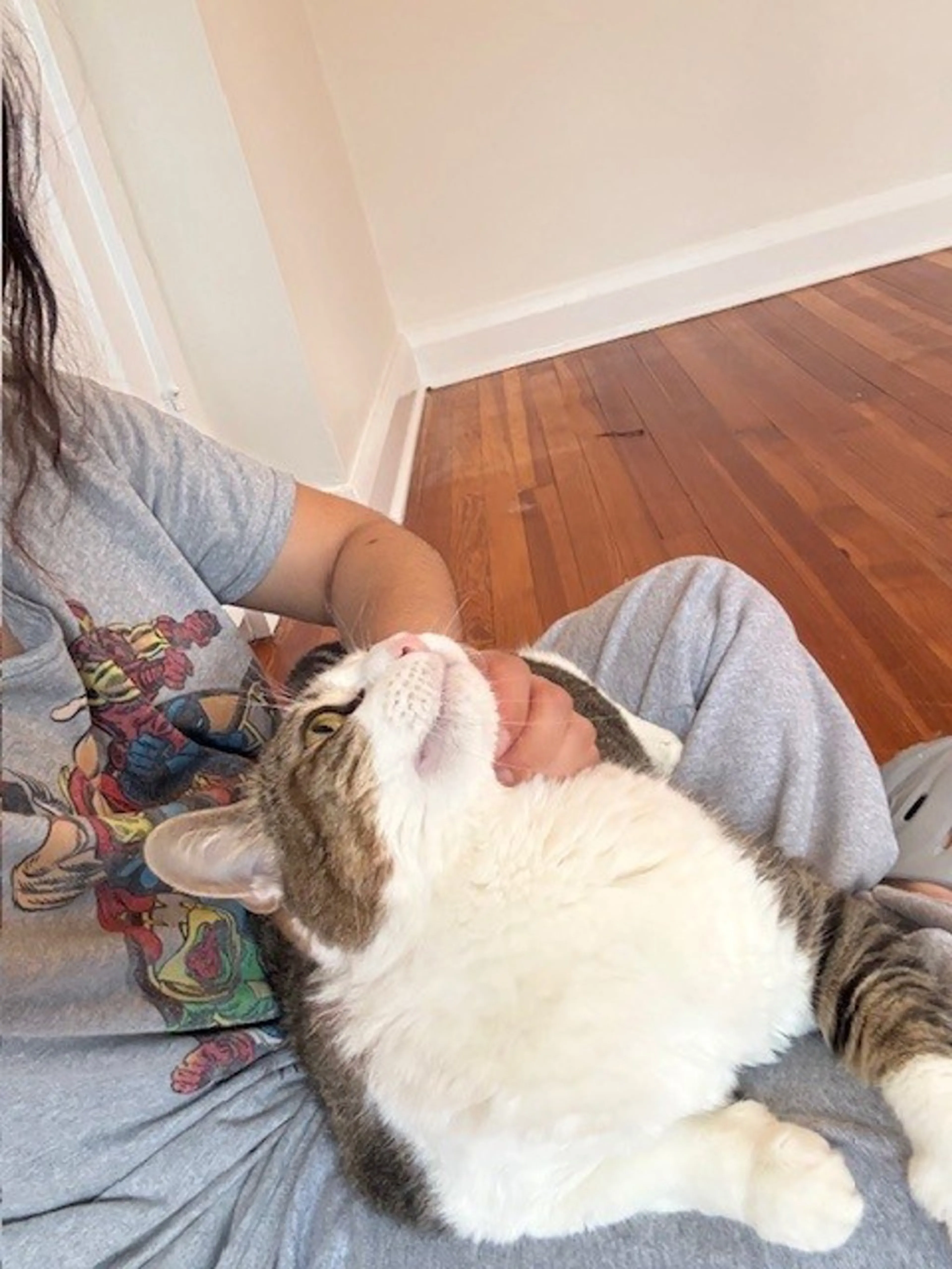 Found pet-2