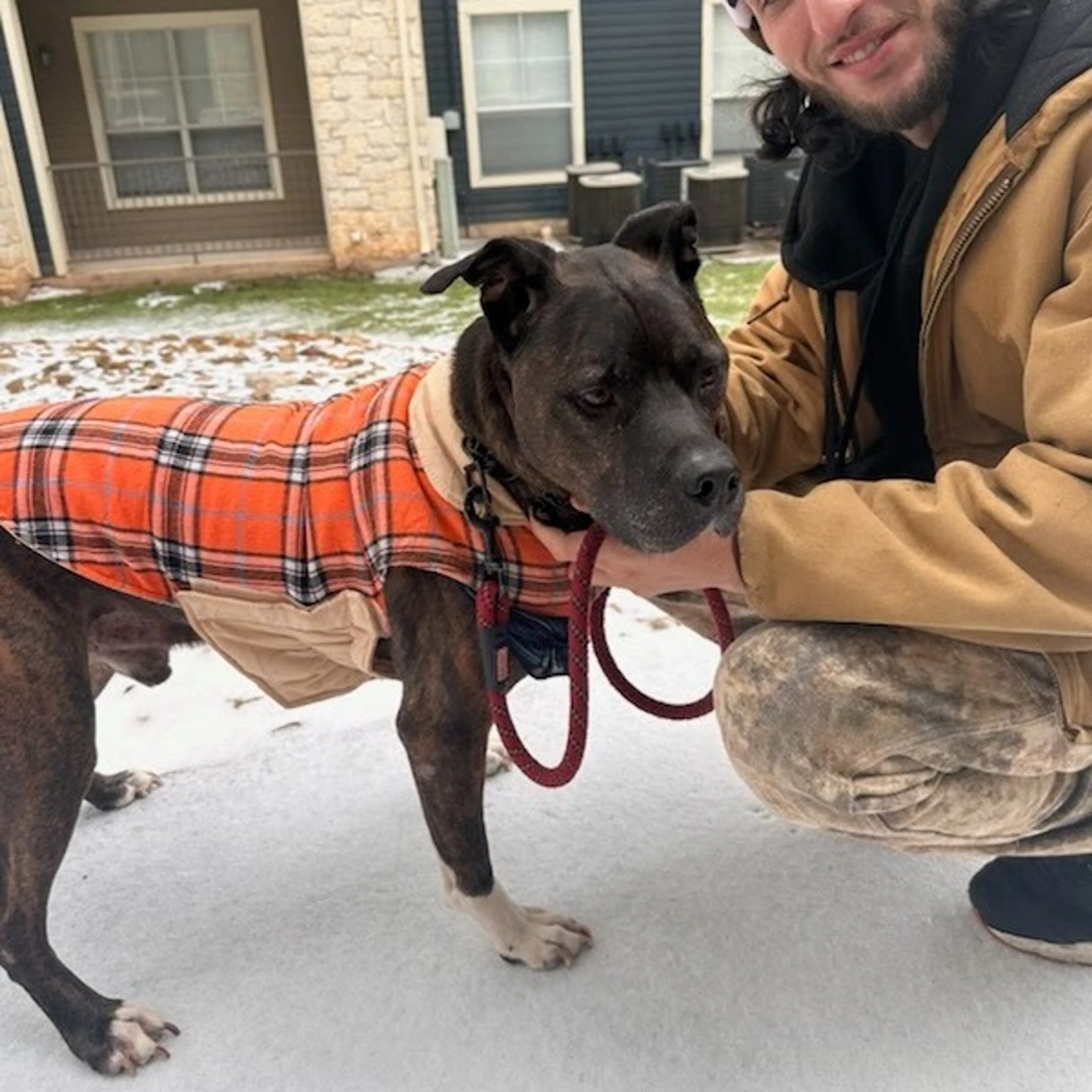 Found pet-10