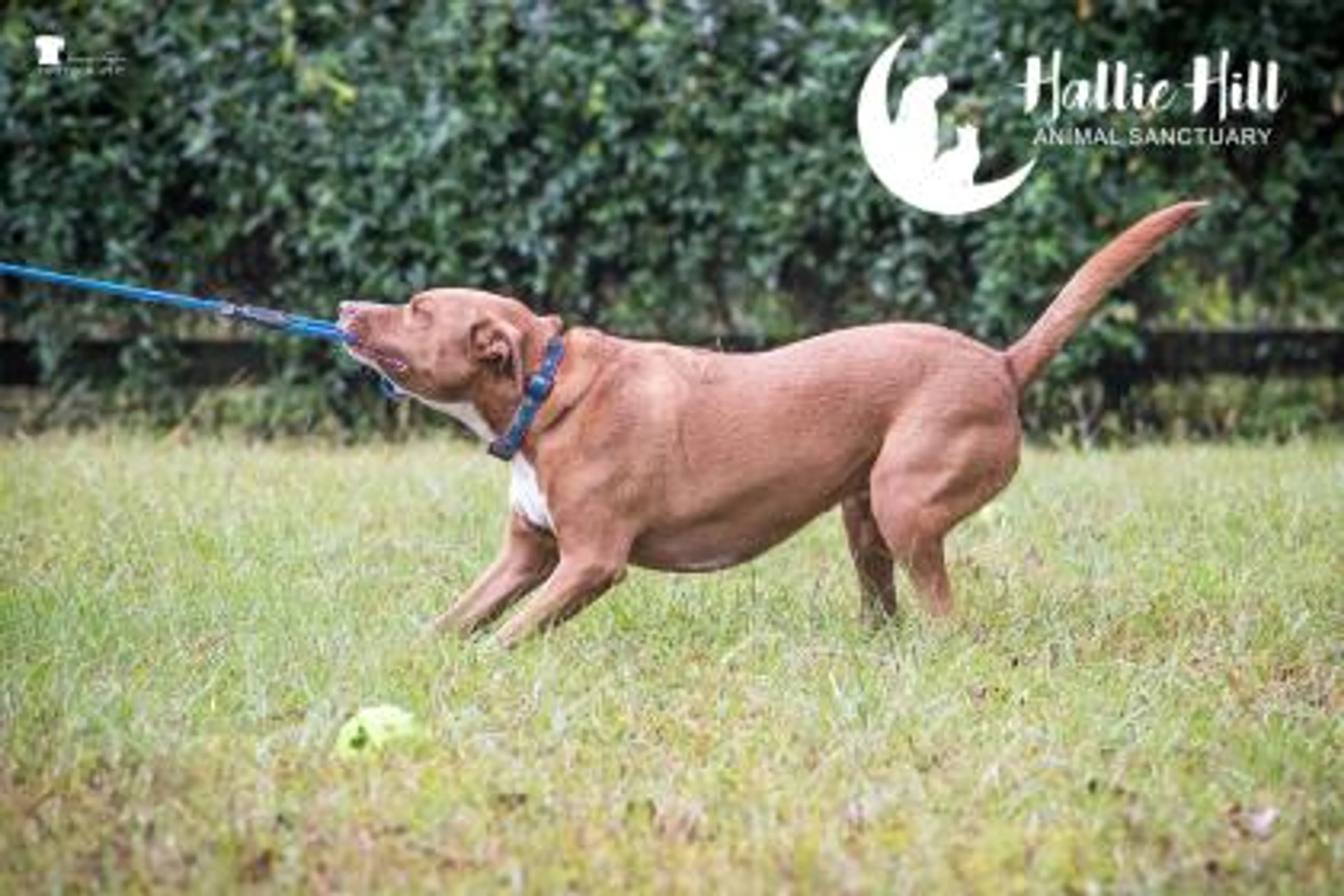 -1