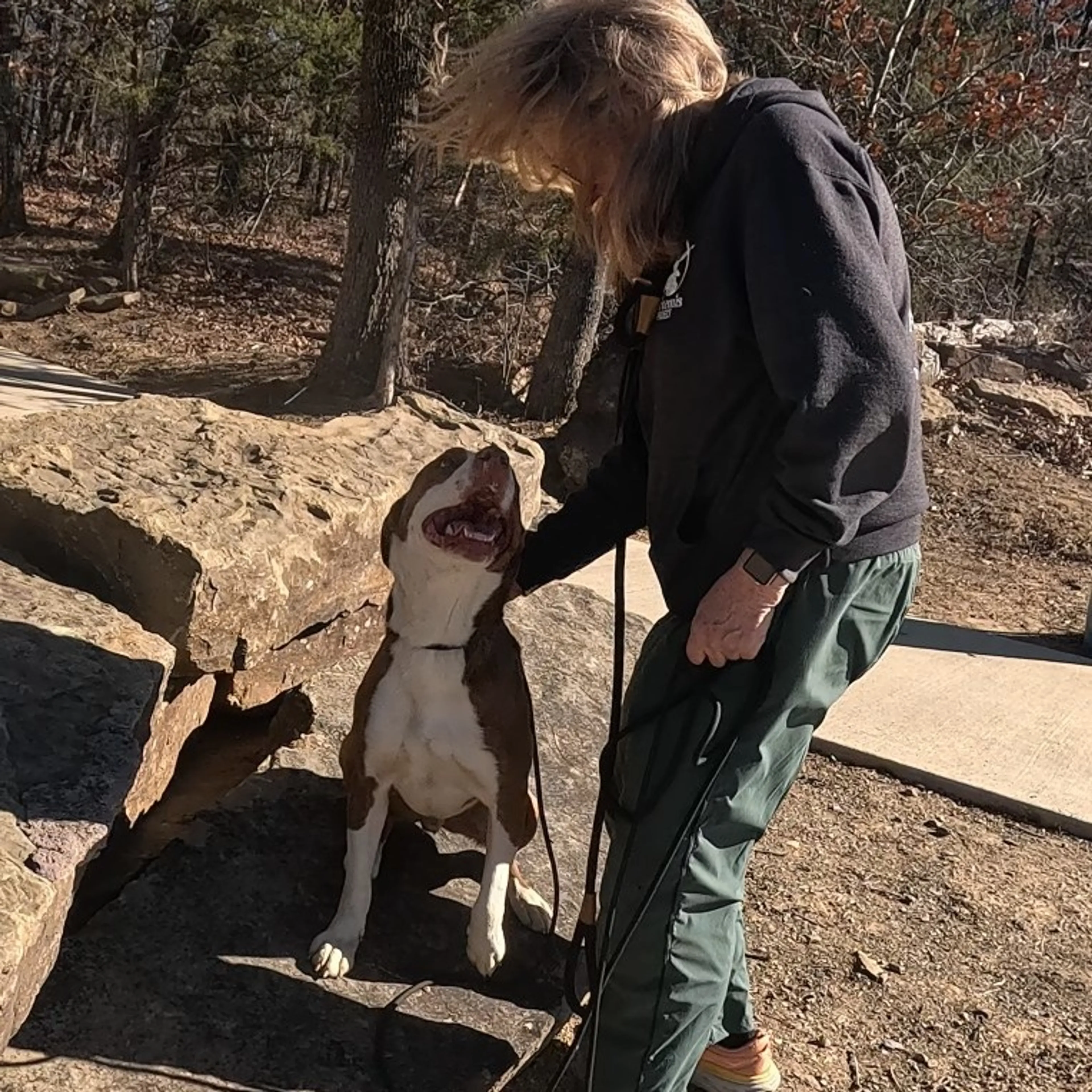Found pet-12