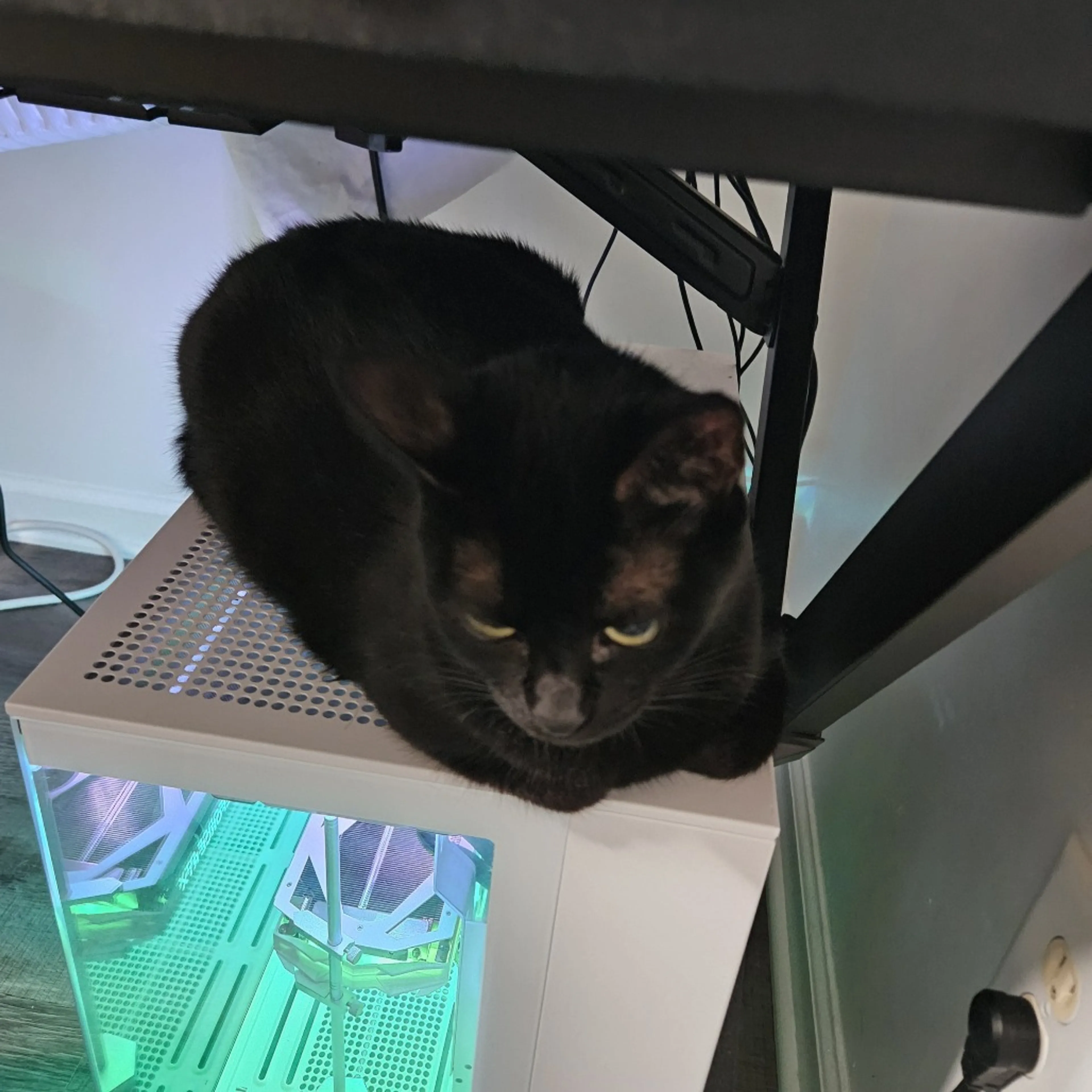 cdn image