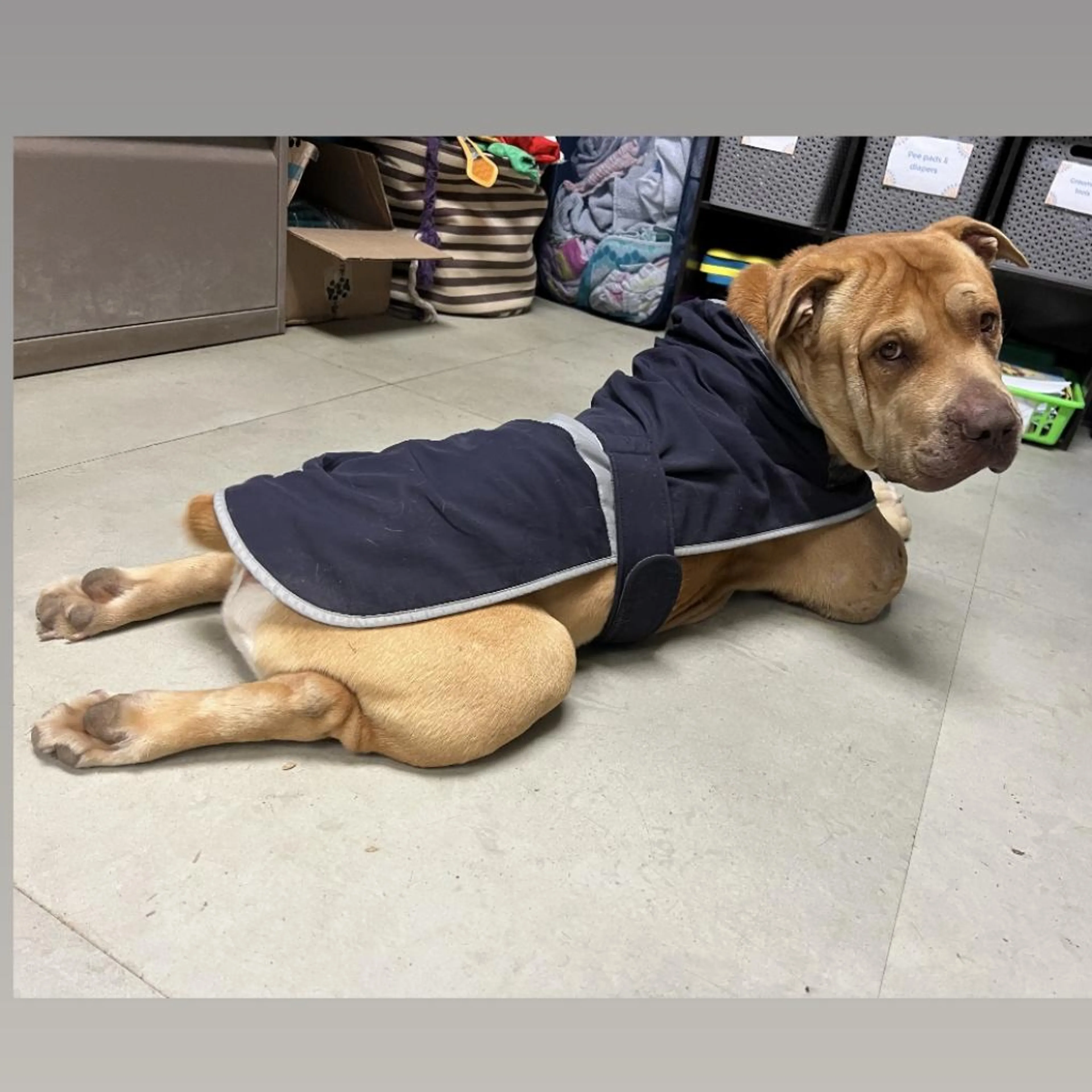 -8