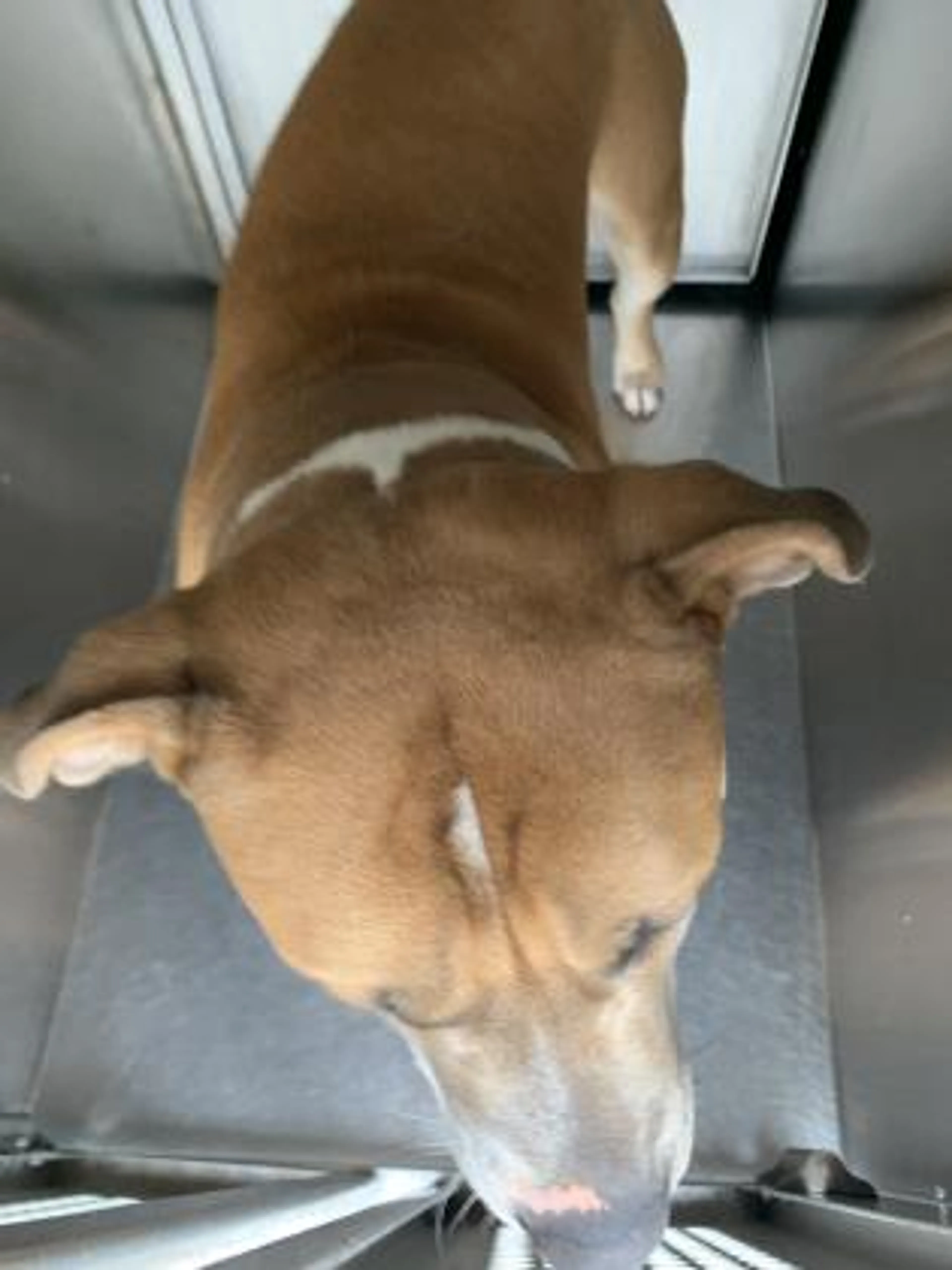 cdn image