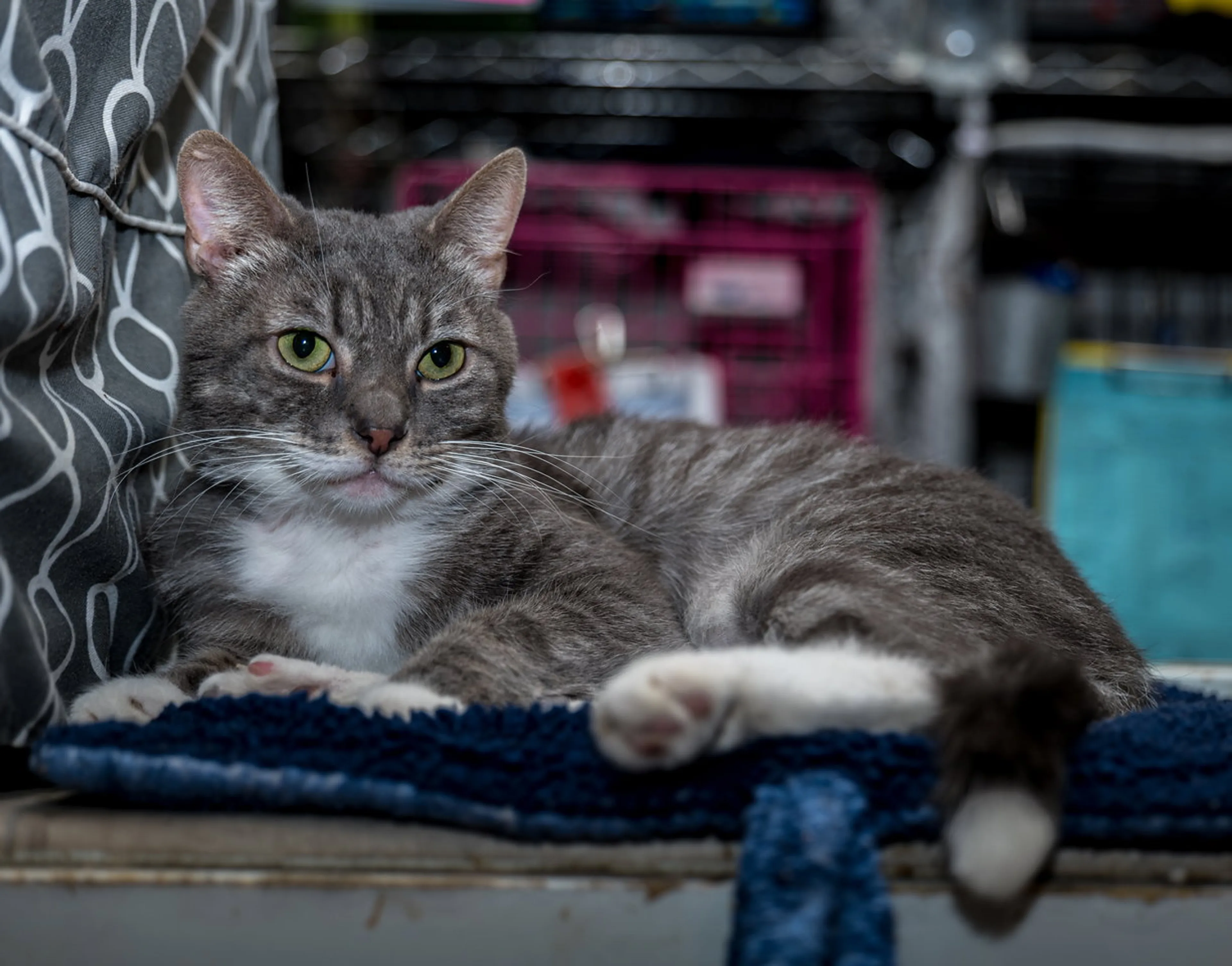 -0