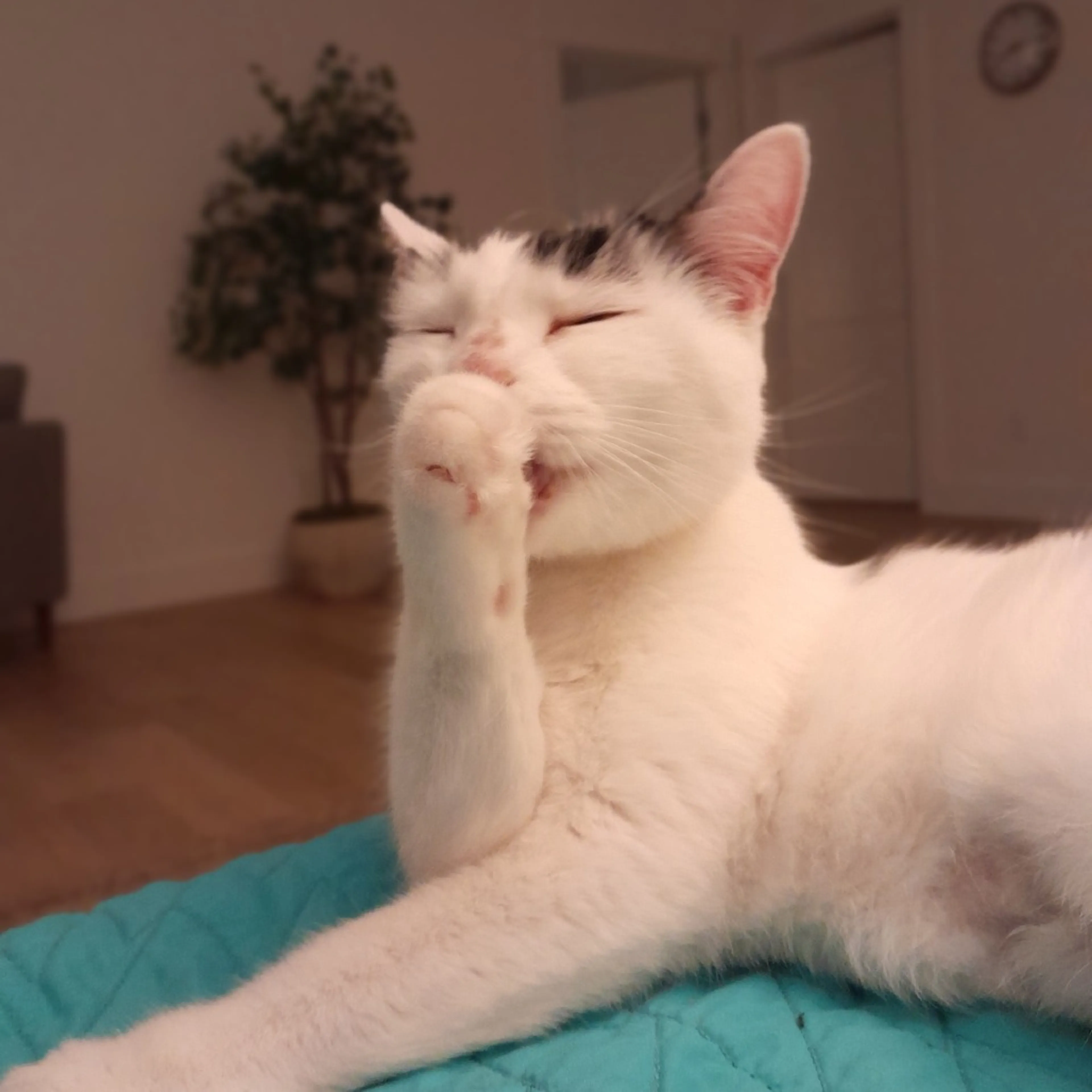 -5