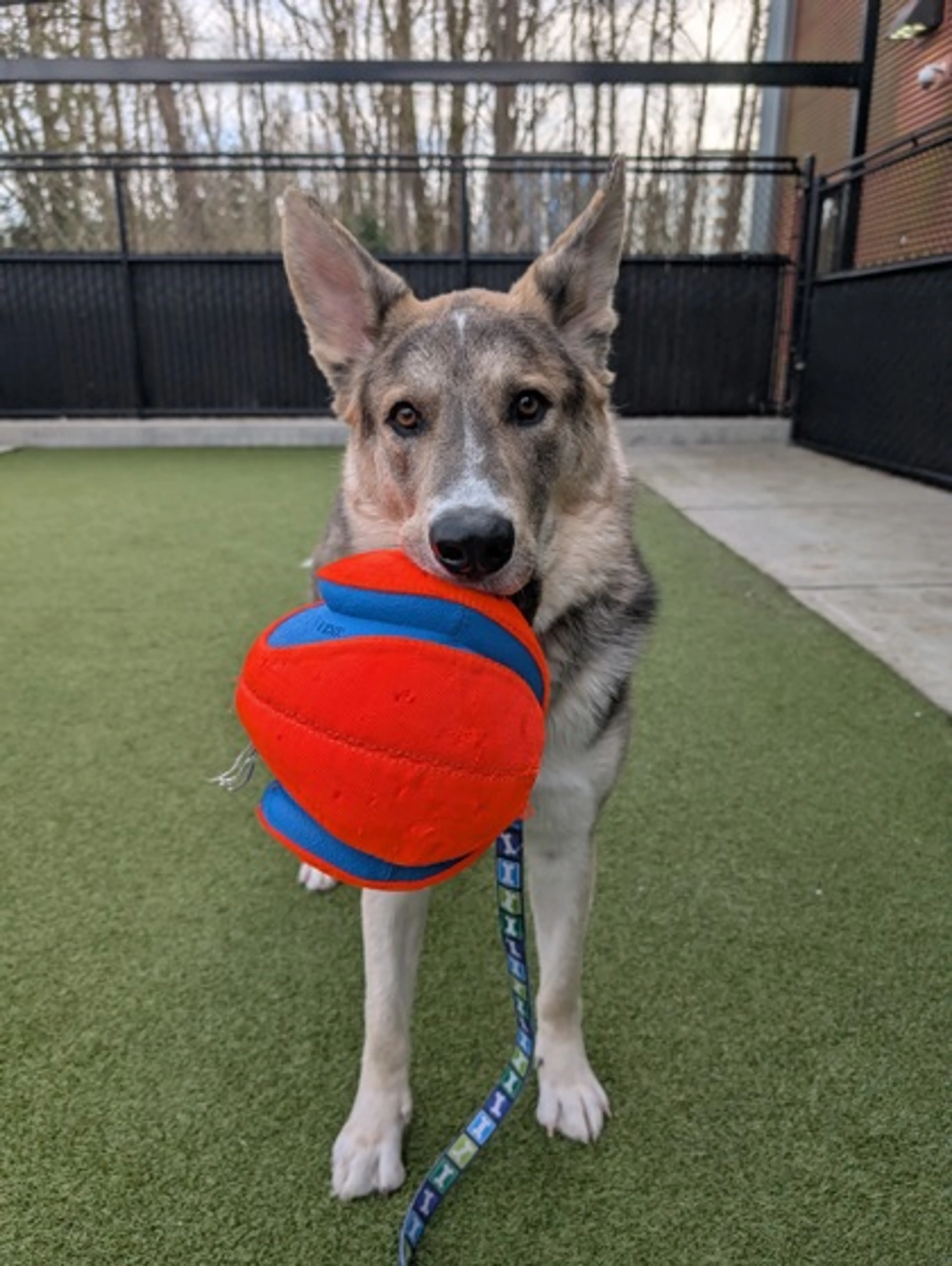 -2