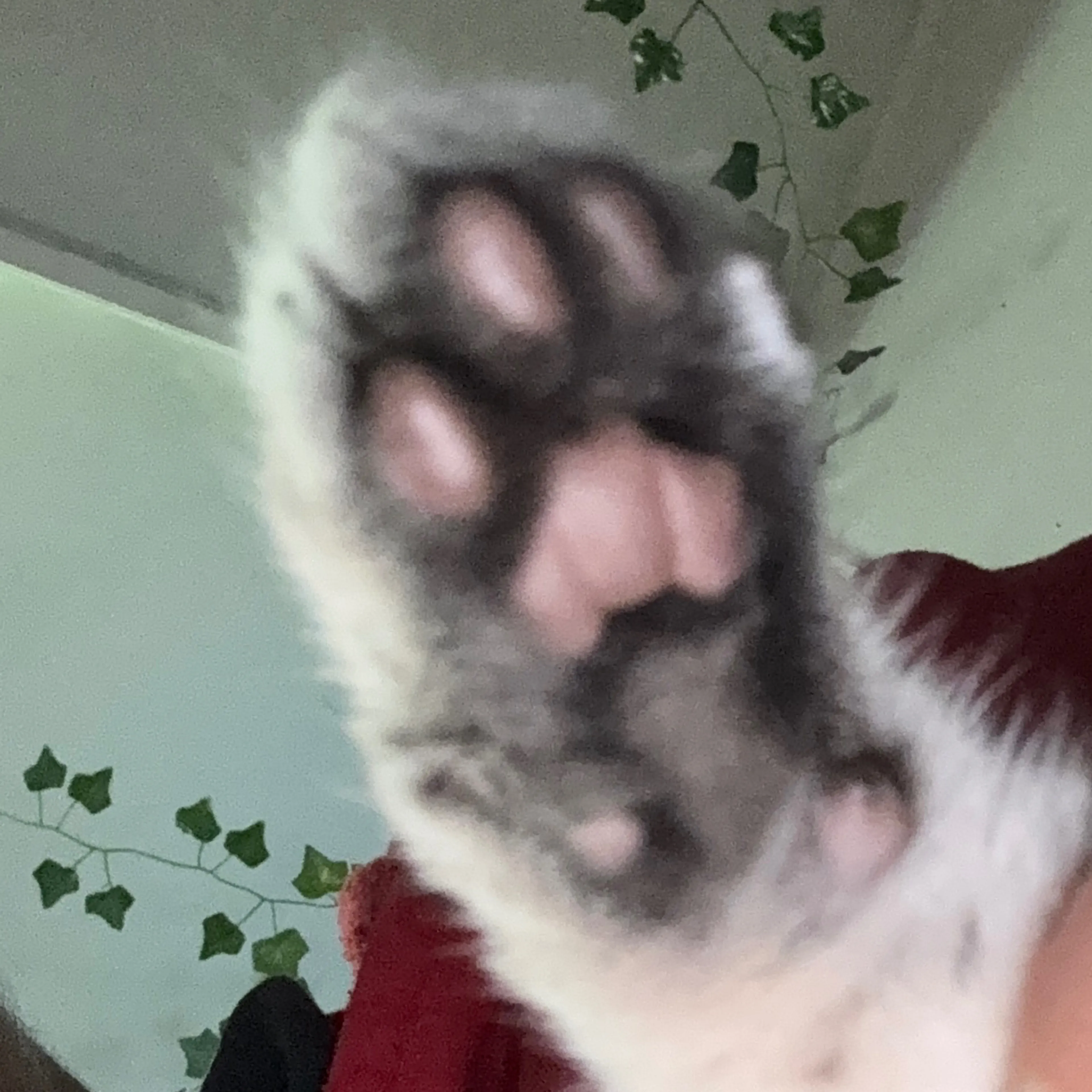 -3