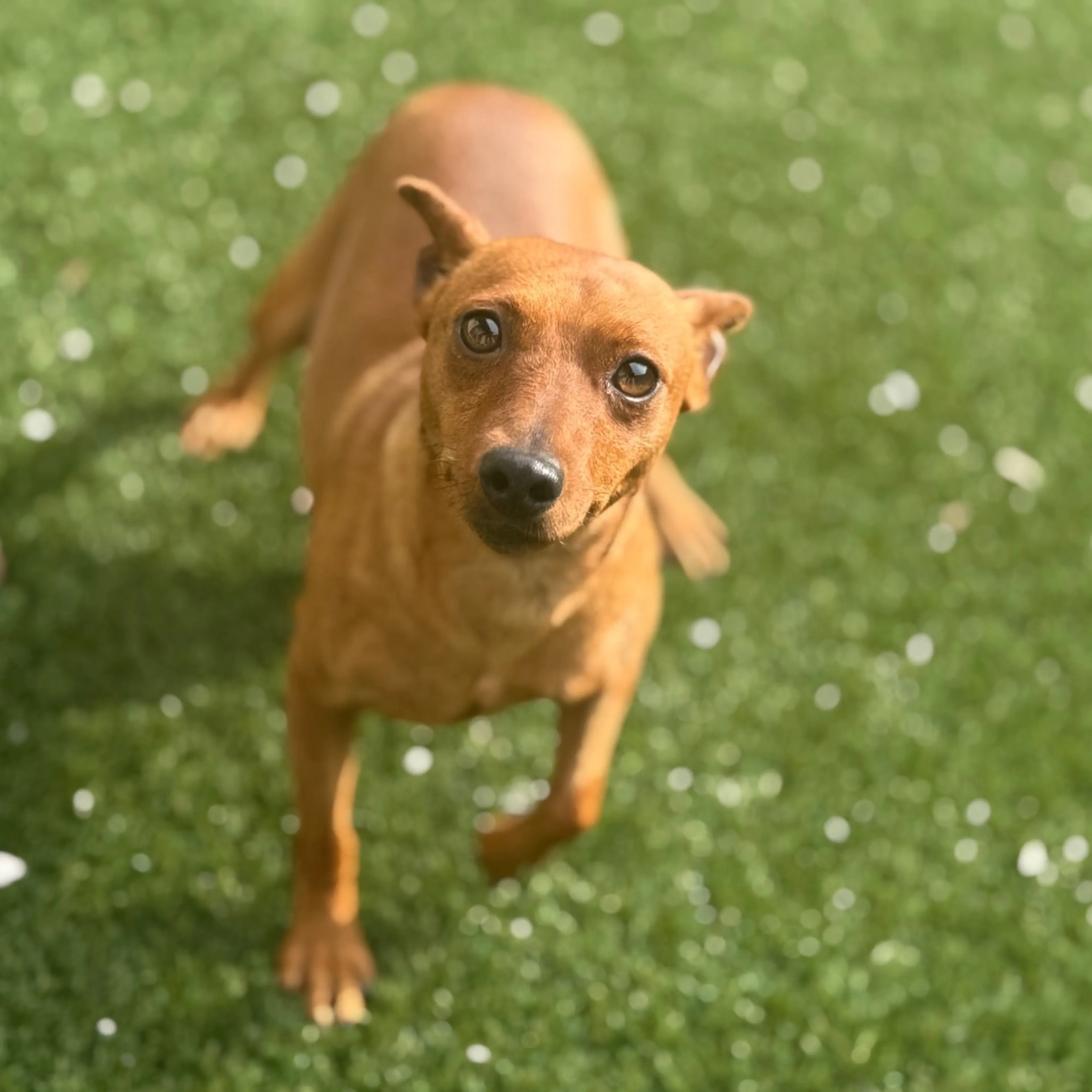 -0